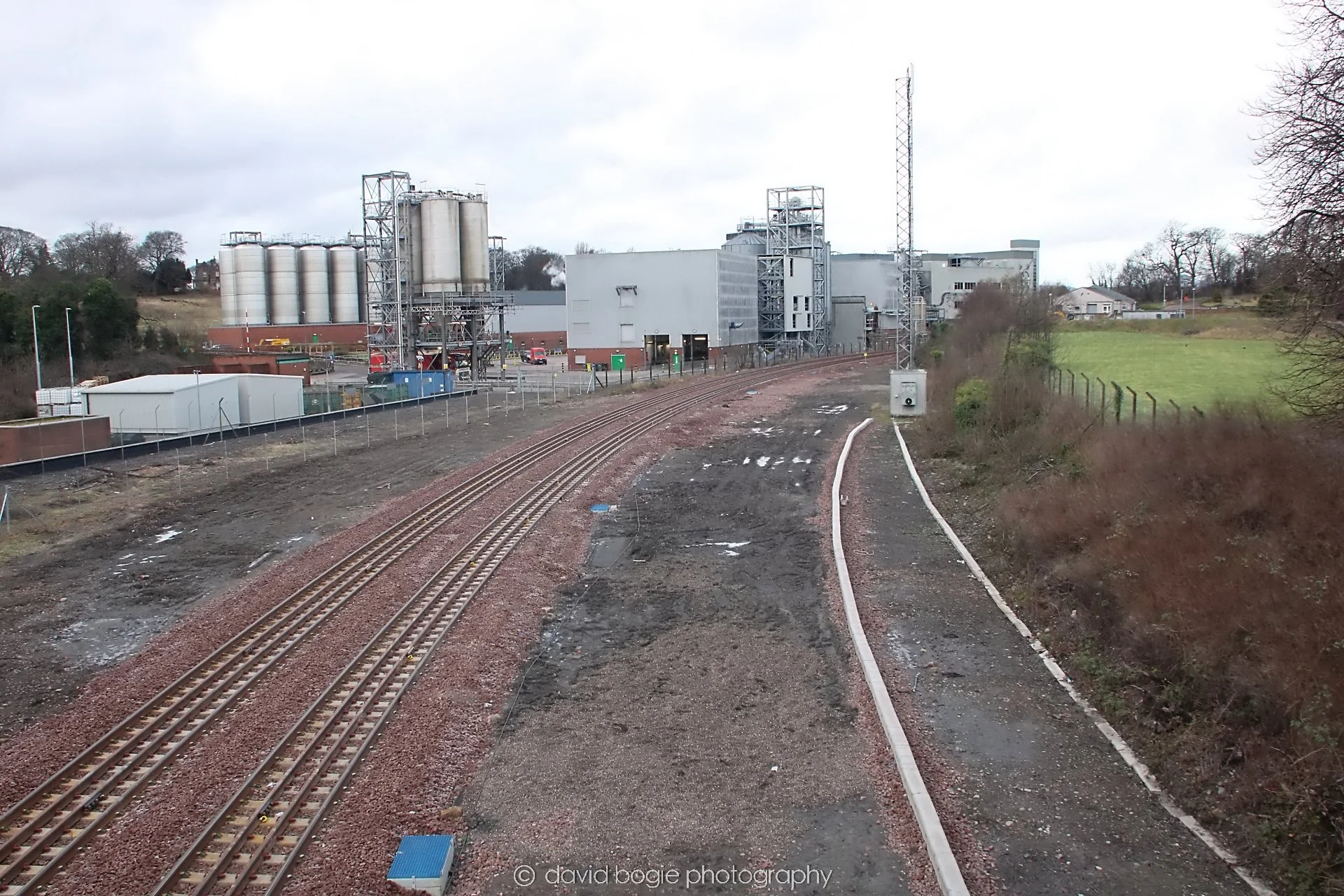 YEAR20240208 Cameron Bridge  0511.jpg