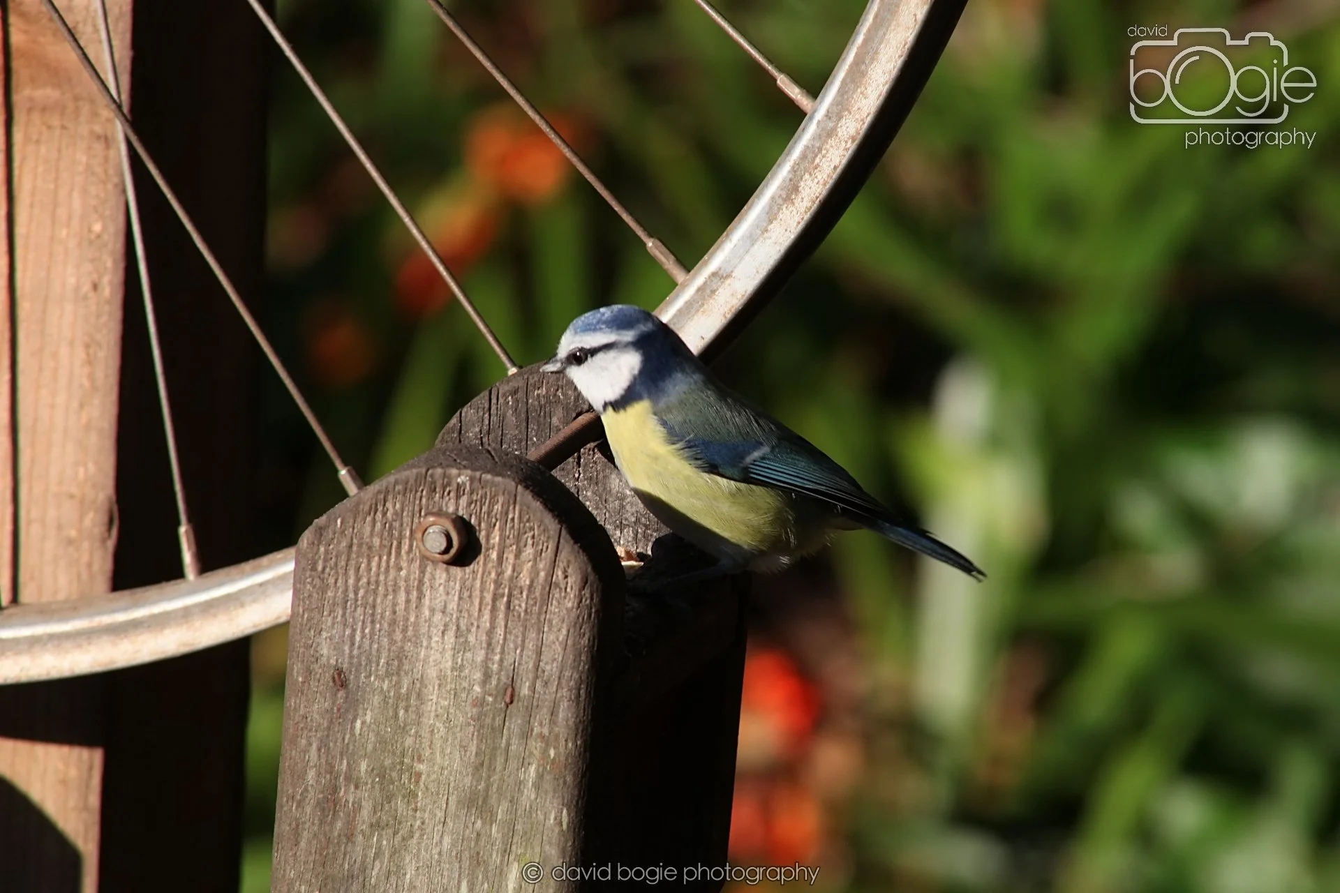 20251125 134030 Silverburn 0126.JPG