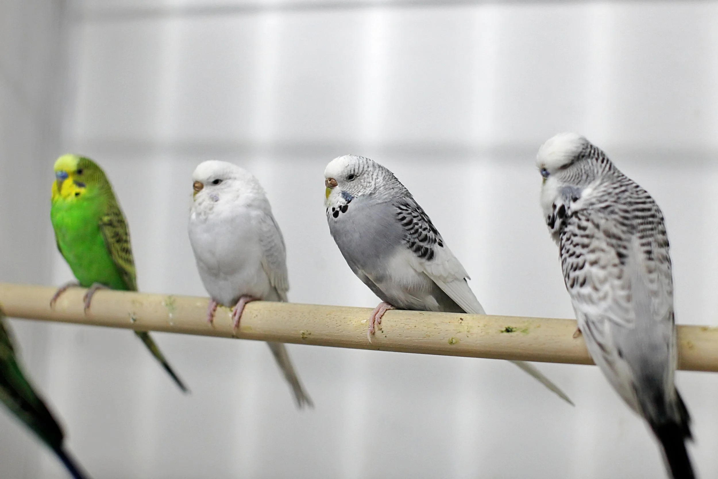 20251117 133359 IMG_0062.JPG