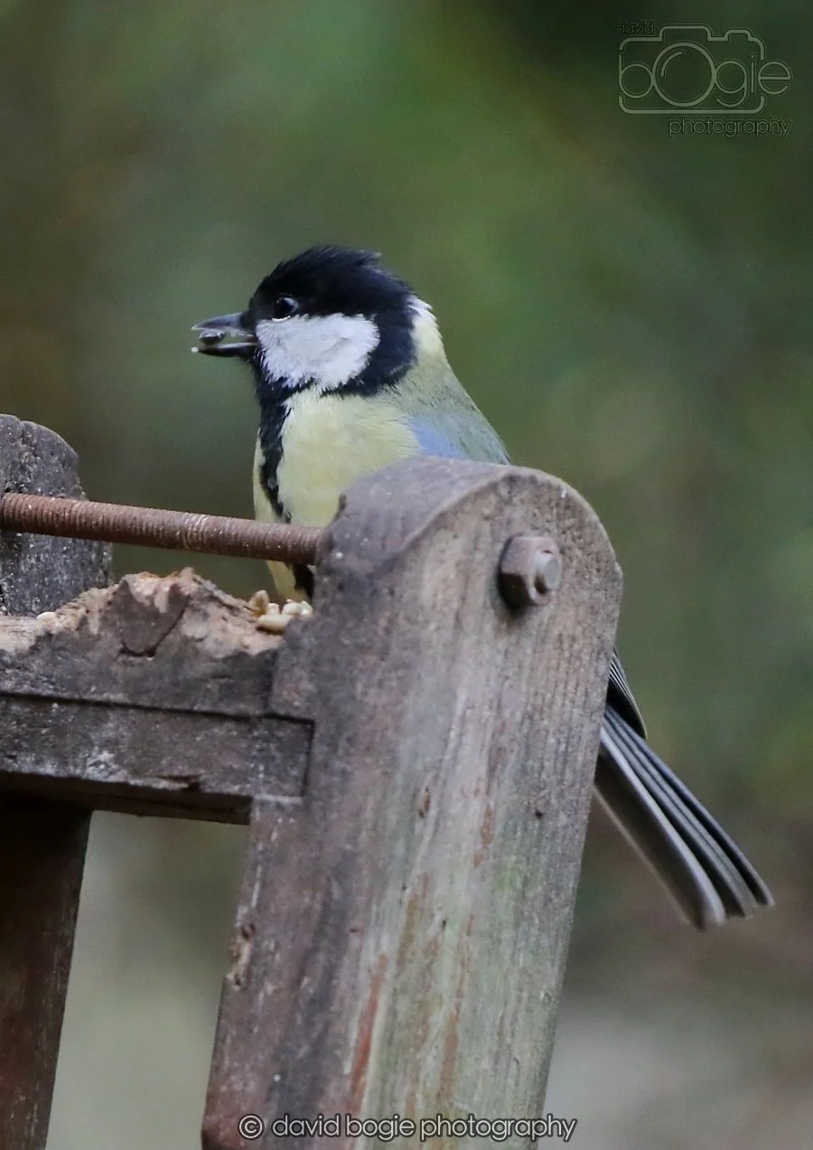 20260215 132122 Silverburn 0090.jpg