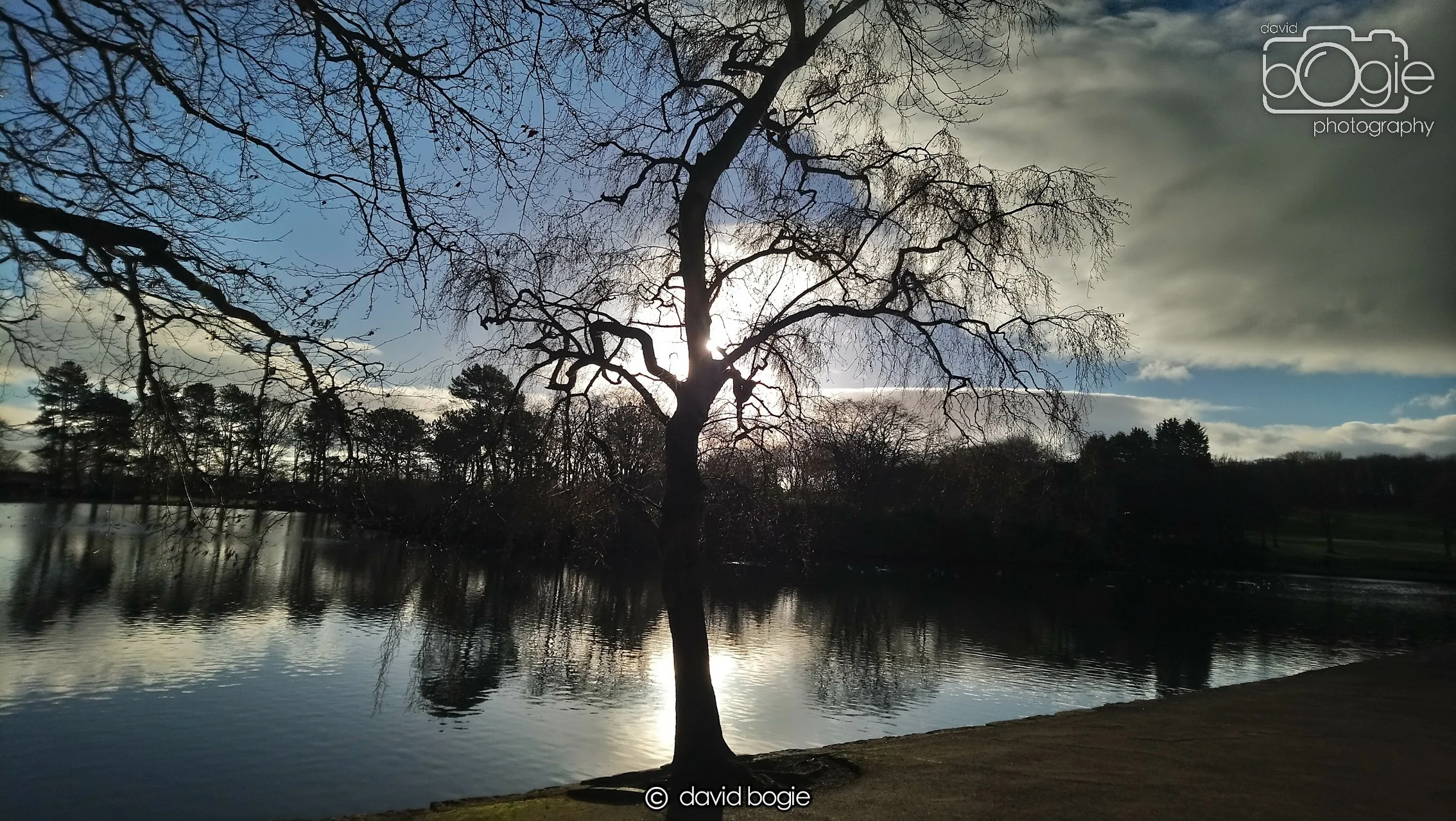 20190101 122222 Beveridge 0003.JPG