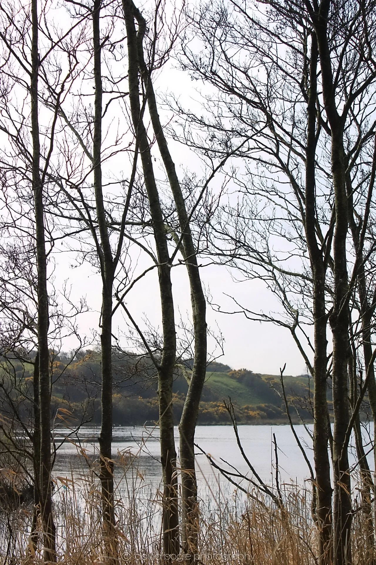 20190405 104351 Lochore 0017.jpg