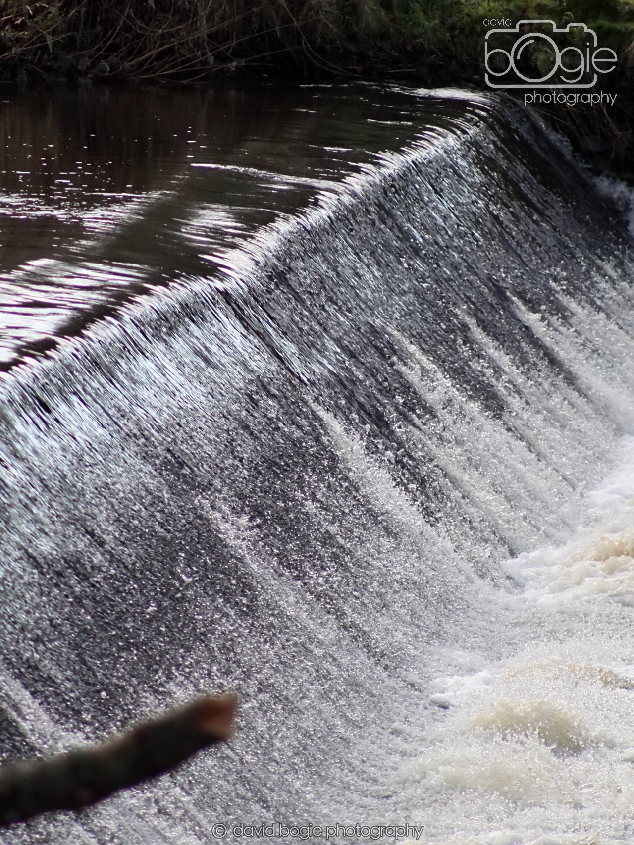 20251205 125215 East Calder 0049.JPG