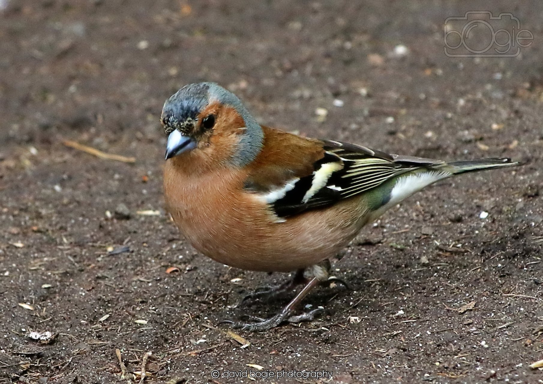 20260326 113607 Silverburn 0219.jpg