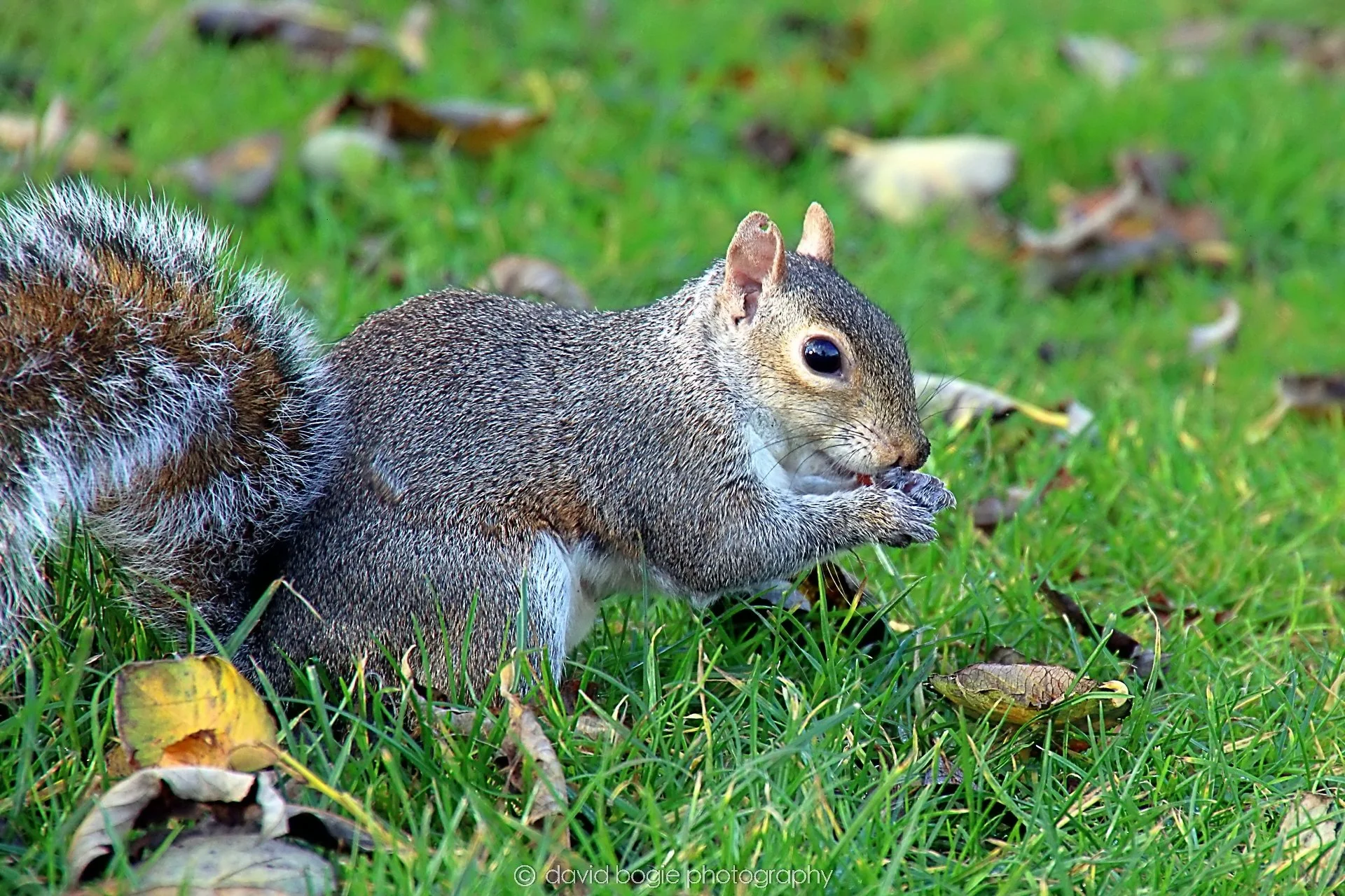 YEAR20231107 Beveridge Park 0420.jpg
