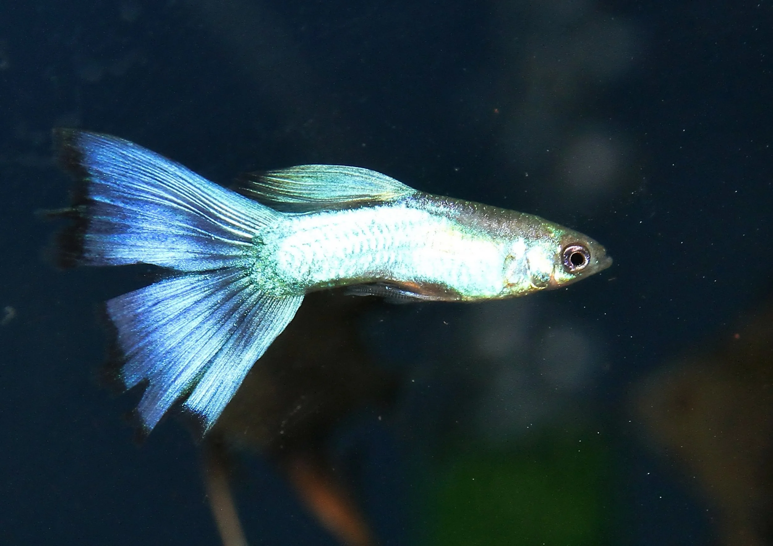 20260331 112104 K&S 0506.jpg