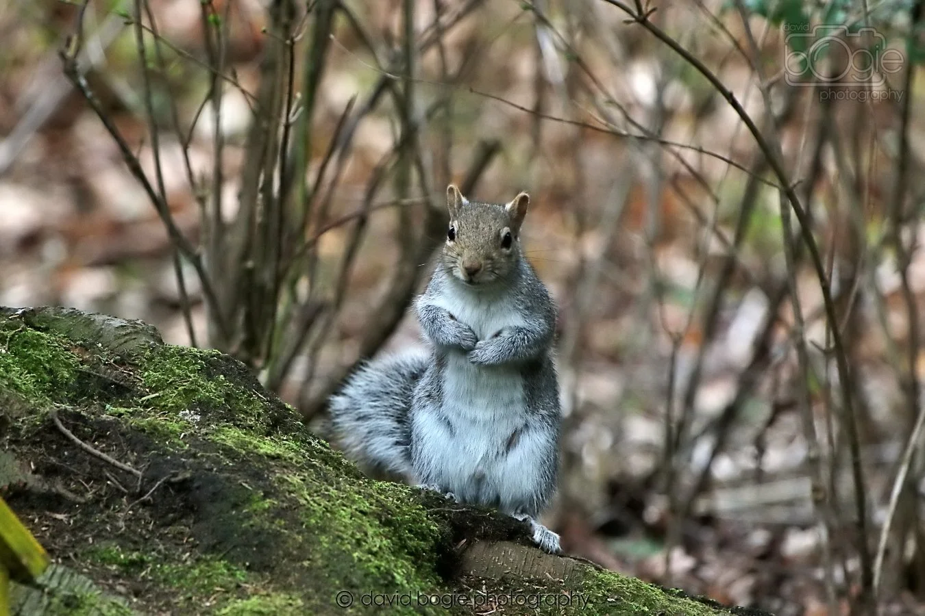 20260309 114851 Dunnikier 0412.jpg