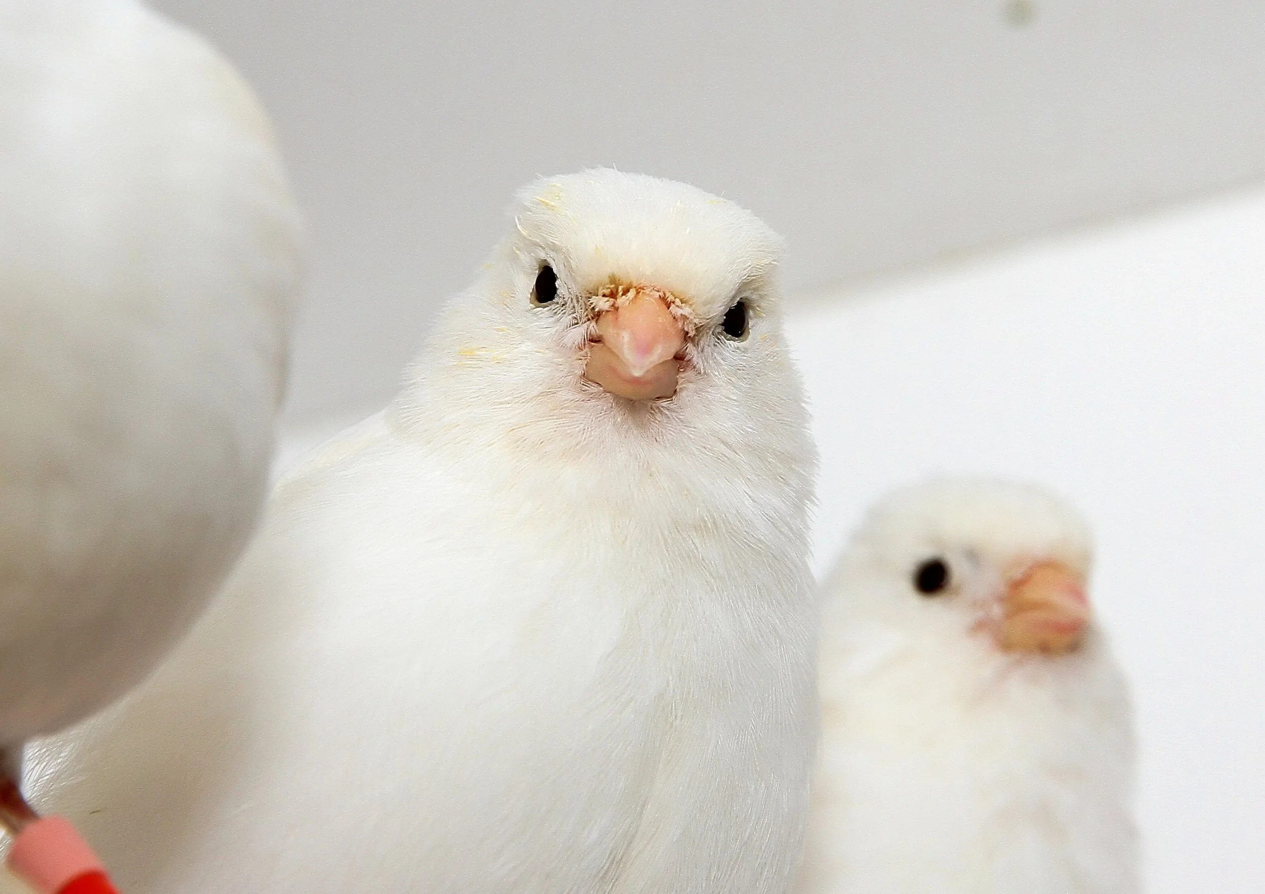 20260331 111736 K&S 0443.jpg