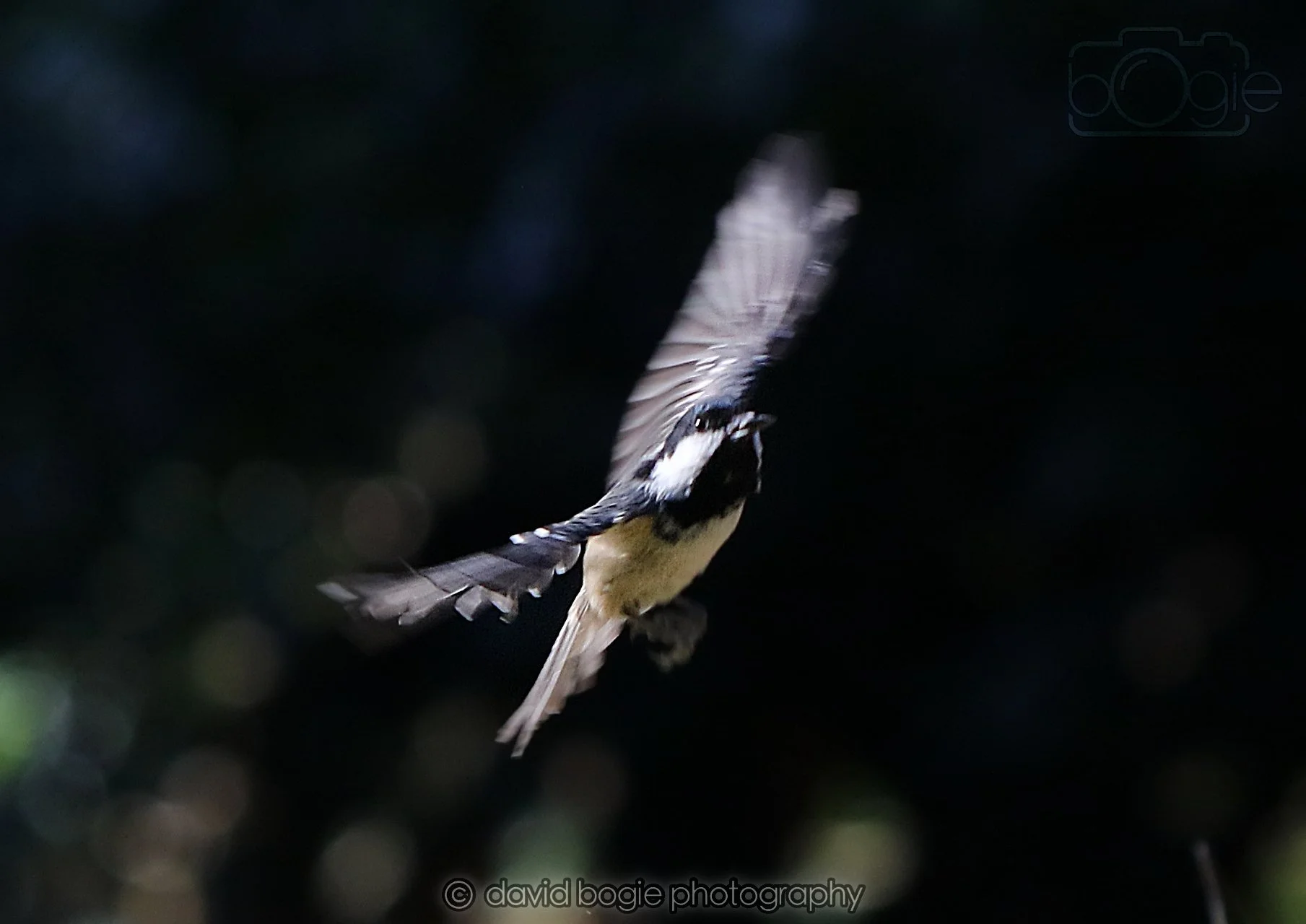 20260320 141012 Ravenscraig 0169.jpg