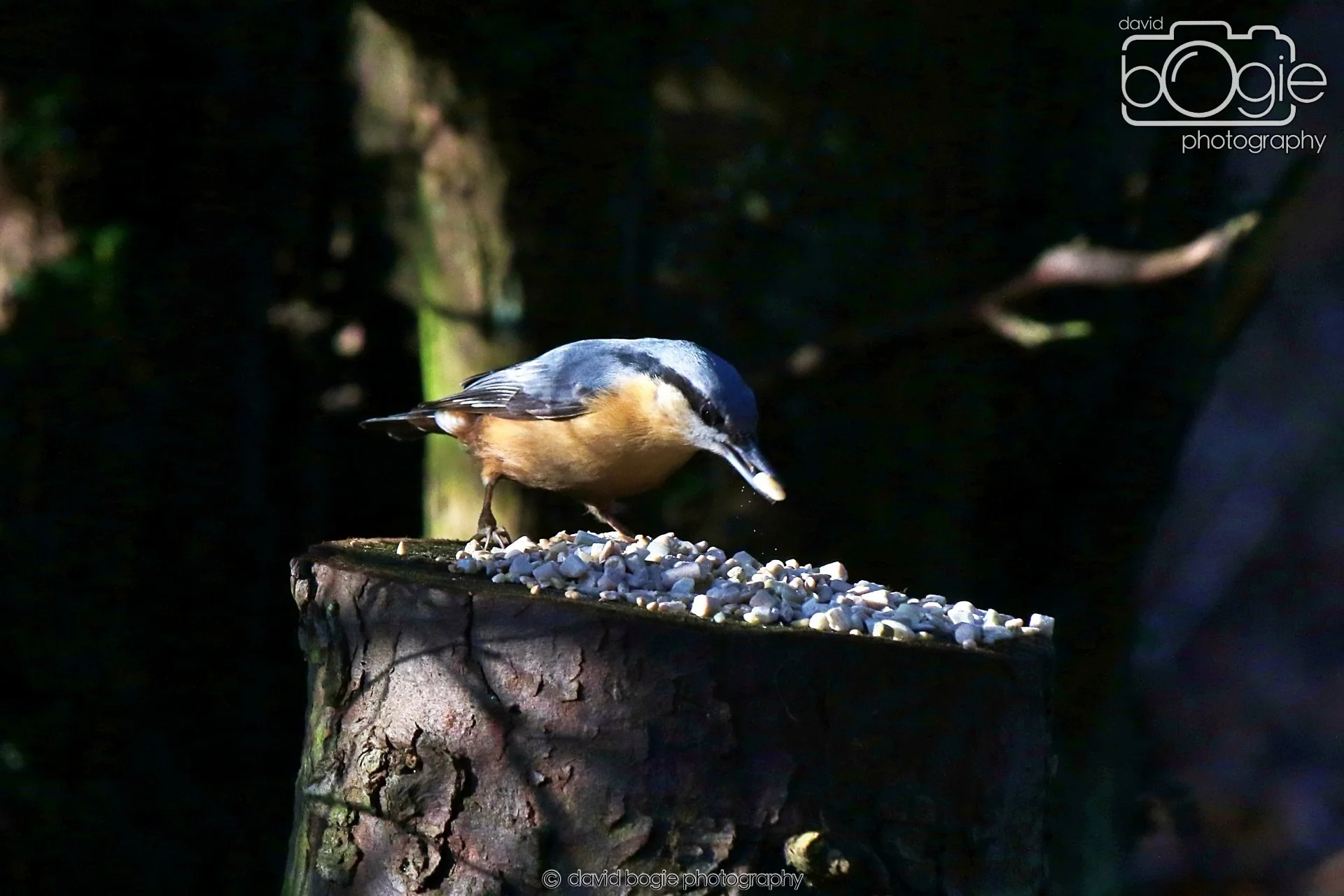 20260128 130002 Dunnikier 0112.JPG