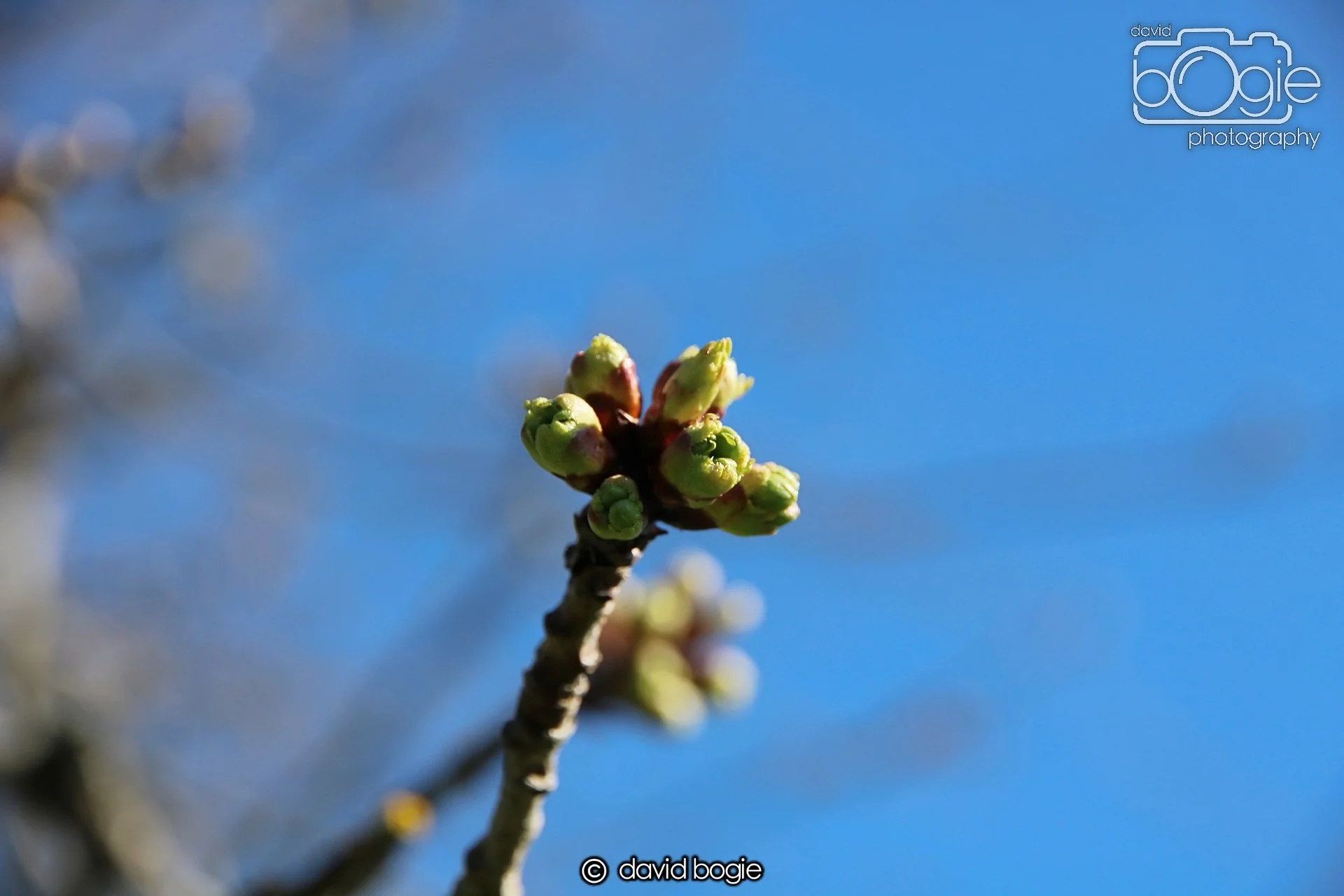 20230407 Kirkcaldy IMG Beveridge Park 0123.jpg