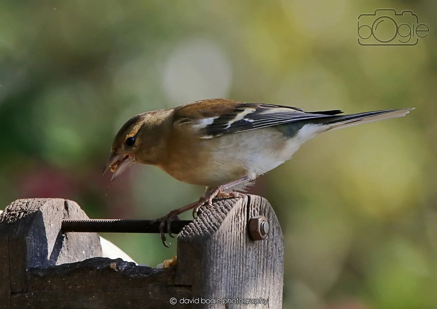 20260402 095710 Silverburn 0039.jpg