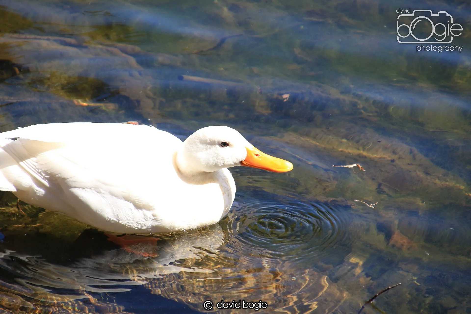 20250517 143950 Beveridge Park 0764.JPG