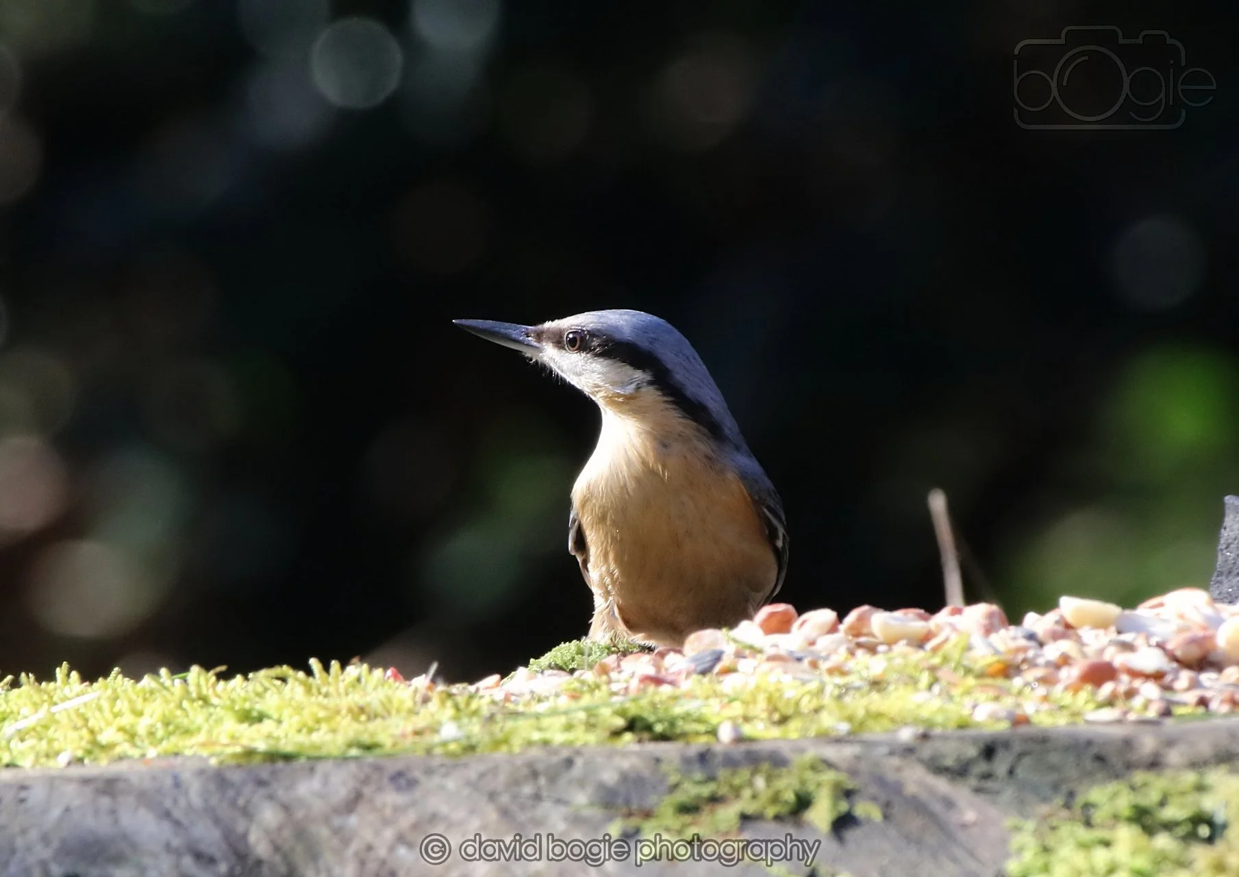 20260320 143352 Ravenscraig 0335.jpg