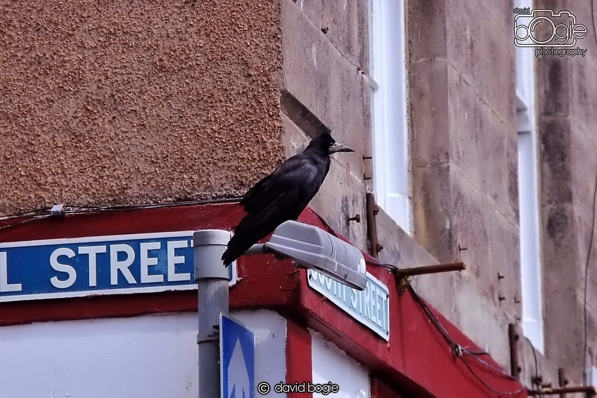 20240531 132931 St Andrews 0257.JPG