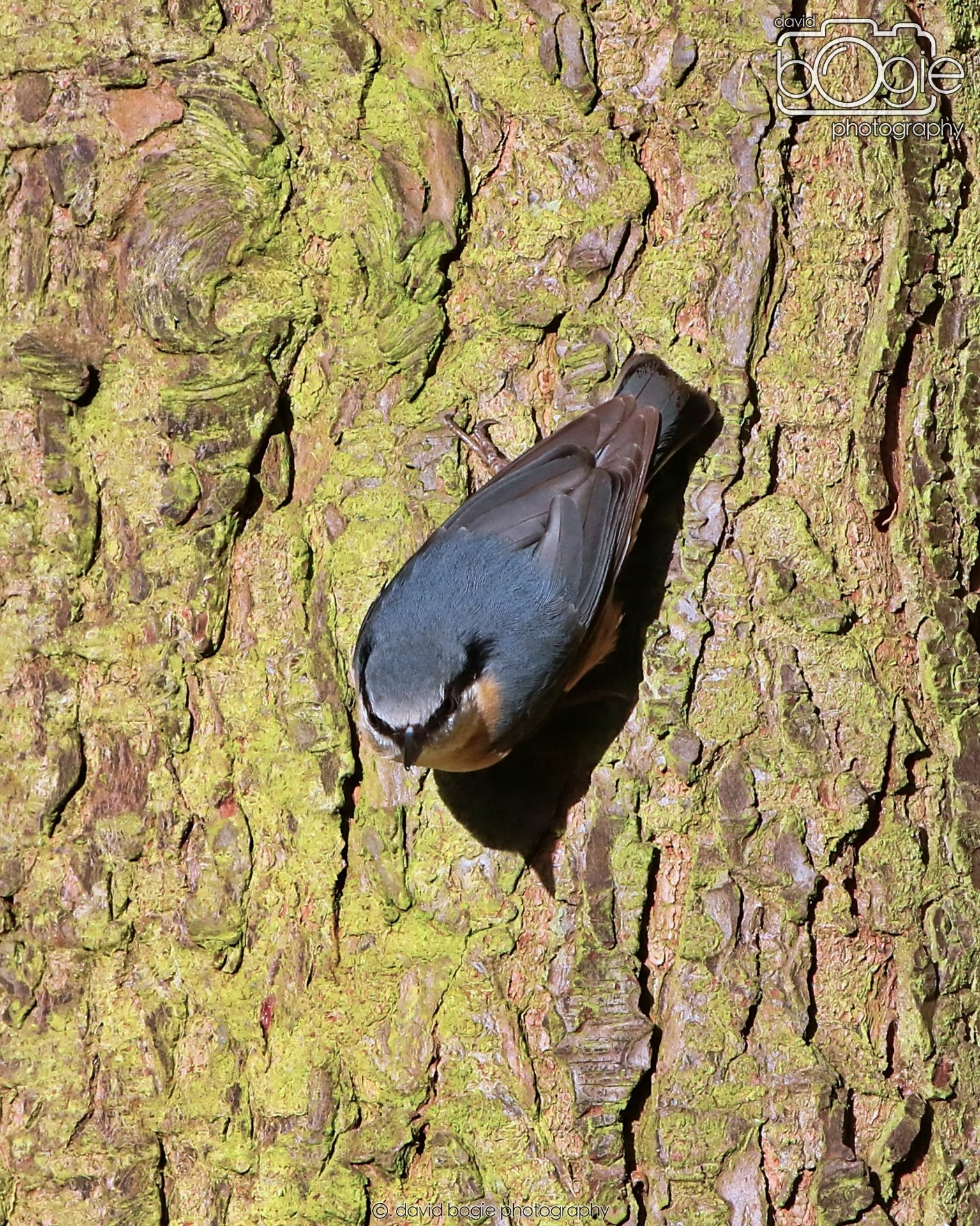 20260128 132706 Dunnikier 0183.JPG