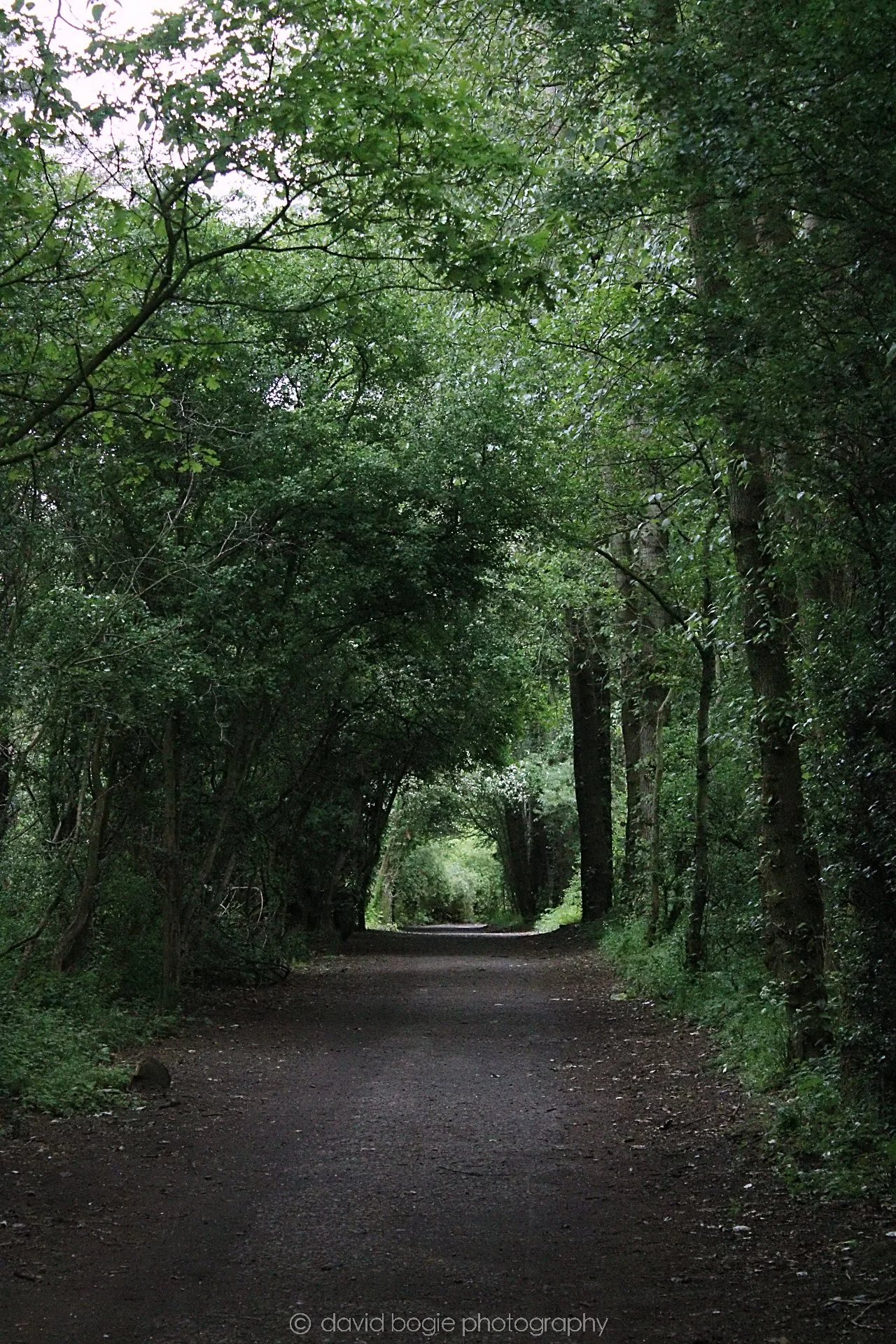 YEAR20220621 Lochore 1.jpg