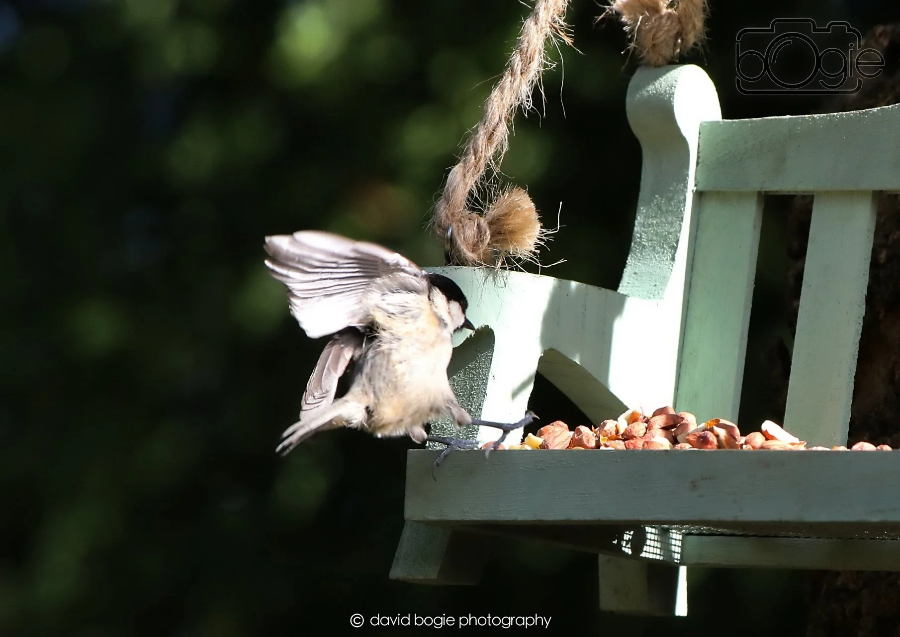 20260403 121927 Dunnikier 0146.jpg