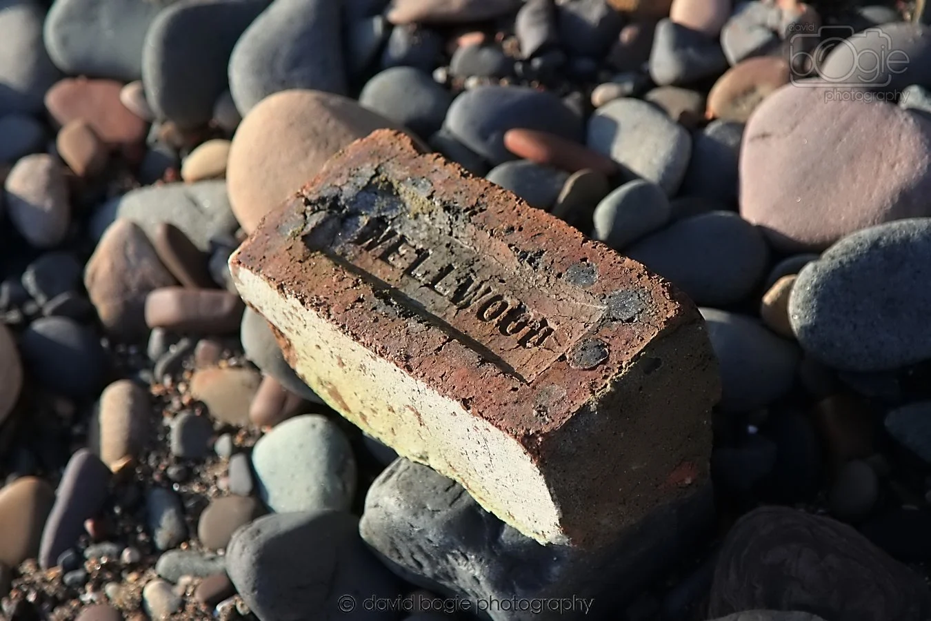 20260119 131603 Kirkcaldy 0066.jpg