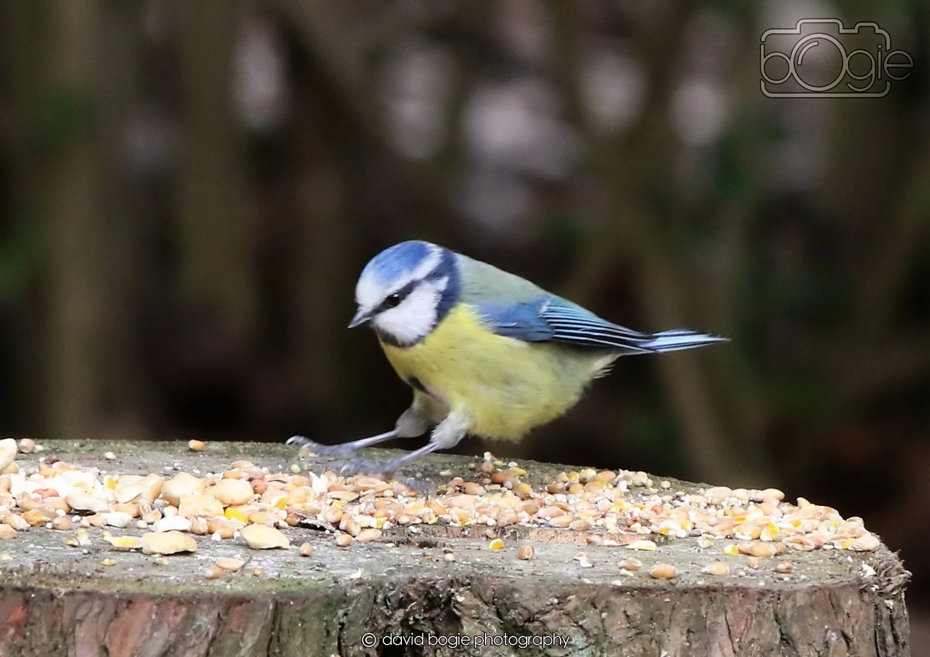 20260330 121541 Dunnikier 0389.jpg