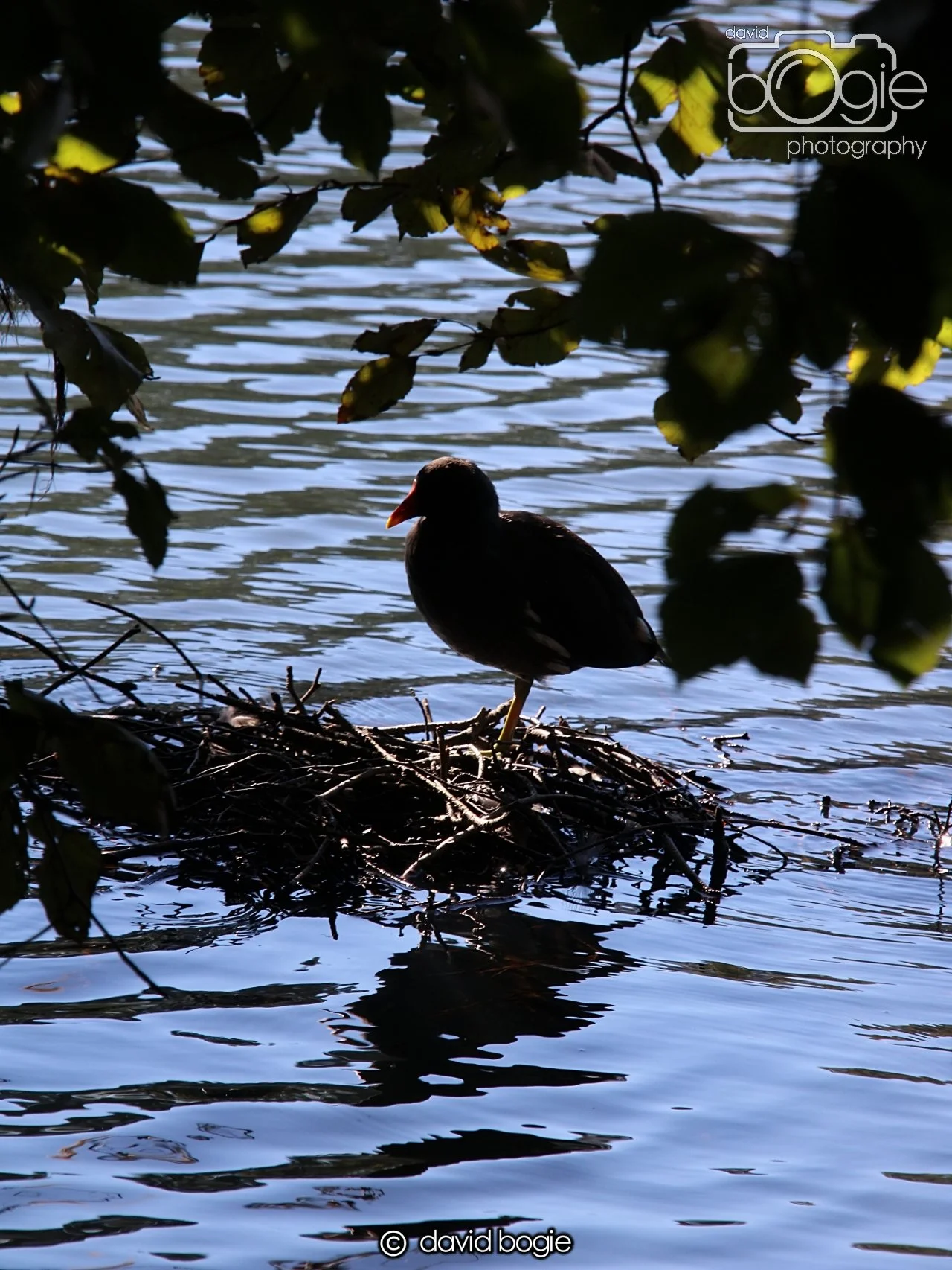 20240918 121259 Beveridge 0228.JPG