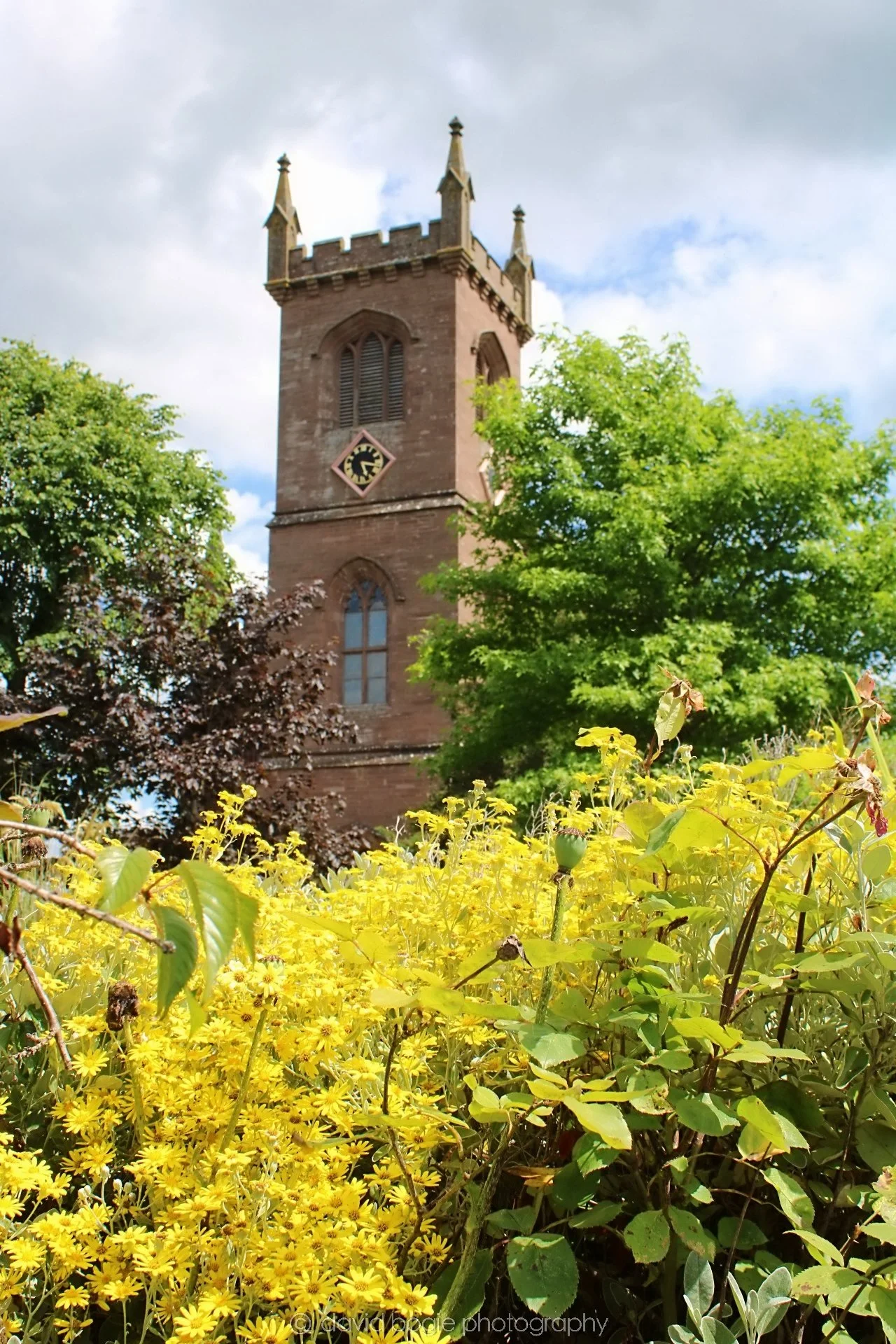 20190708 130418 Muthill 0017.jpg