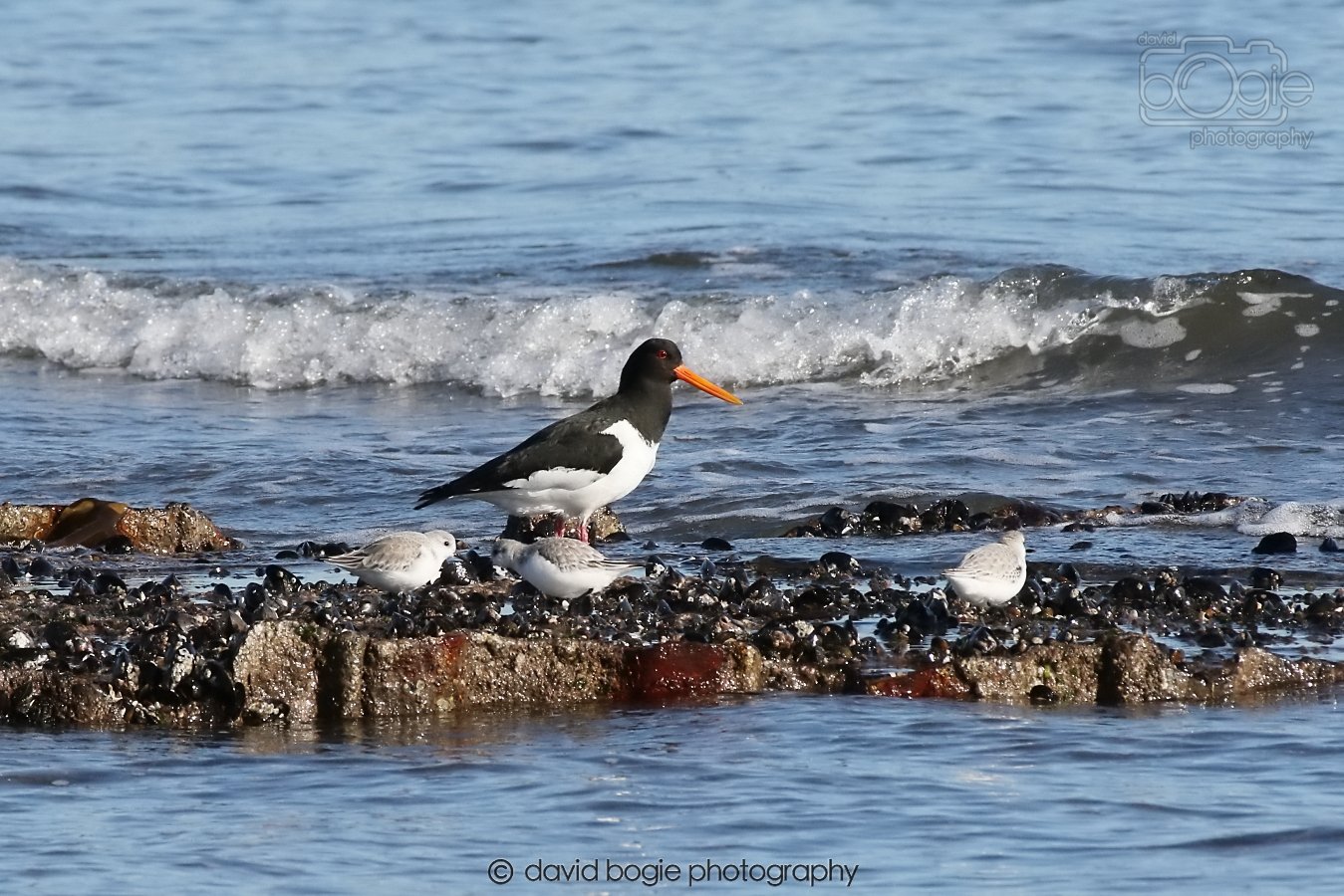 20260307 110949 Kirkcaldy 0019.jpg