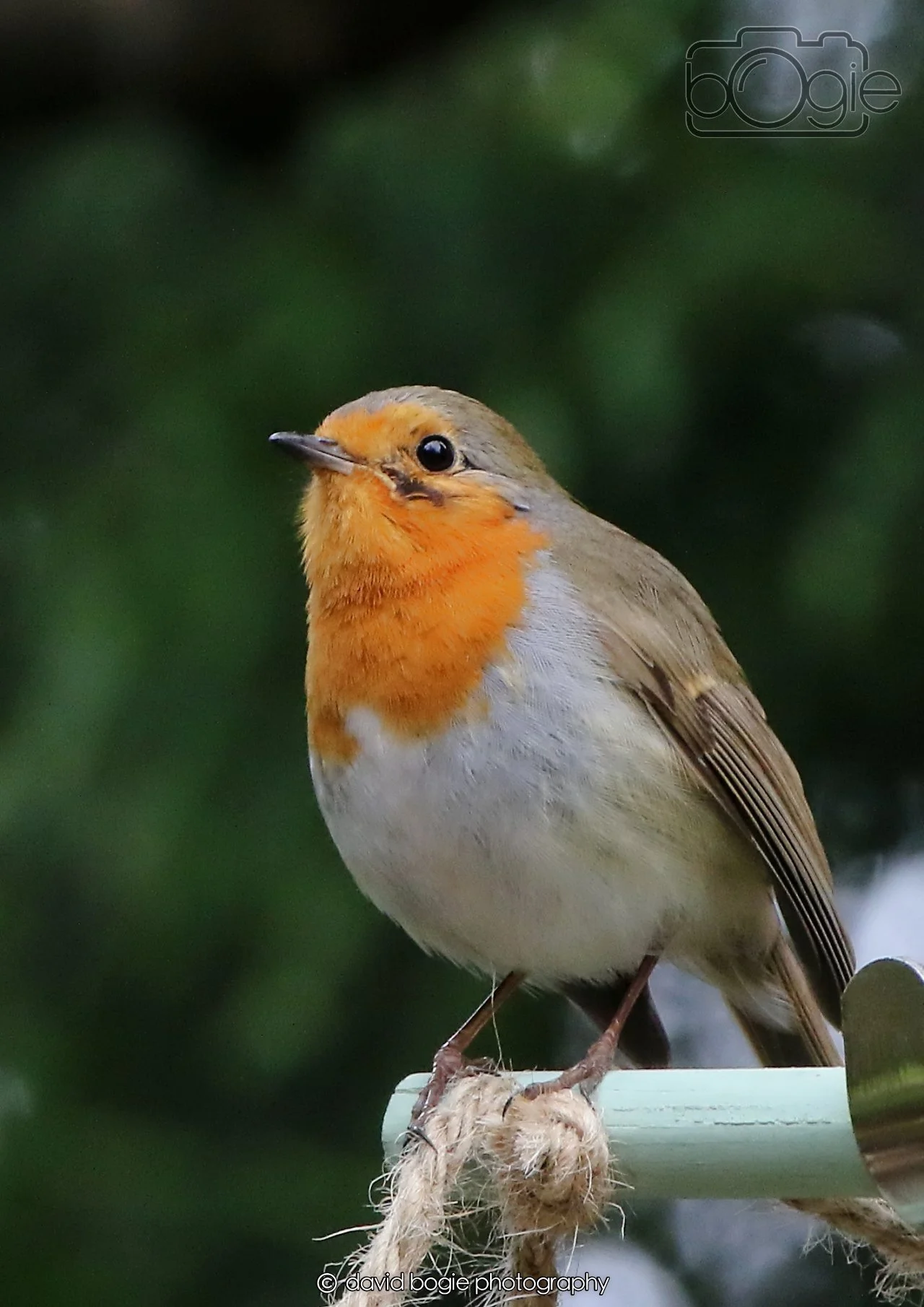 20260403 130242 Dunnikier 0329.jpg