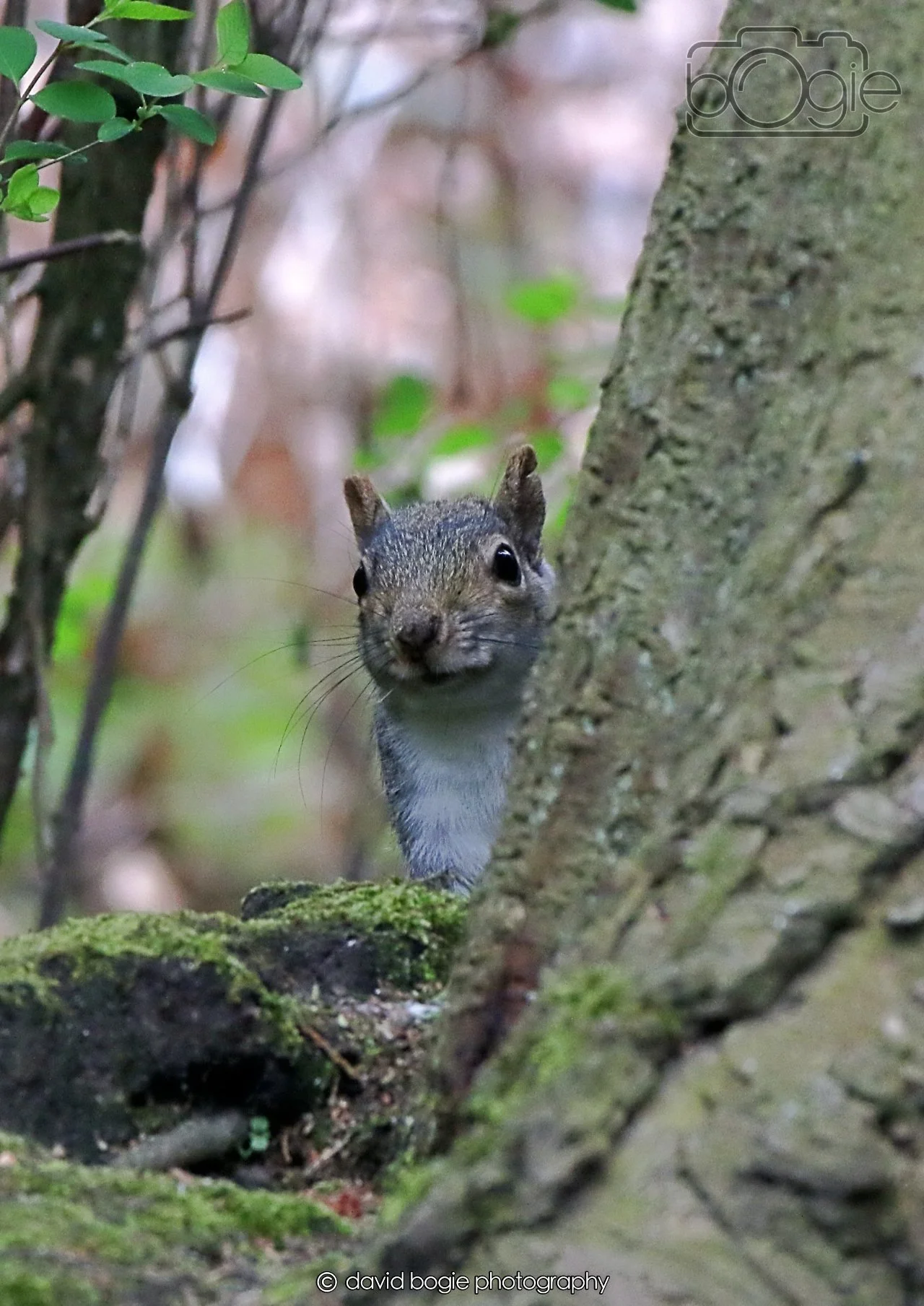 20260403 130458 Dunnikier 0354.jpg