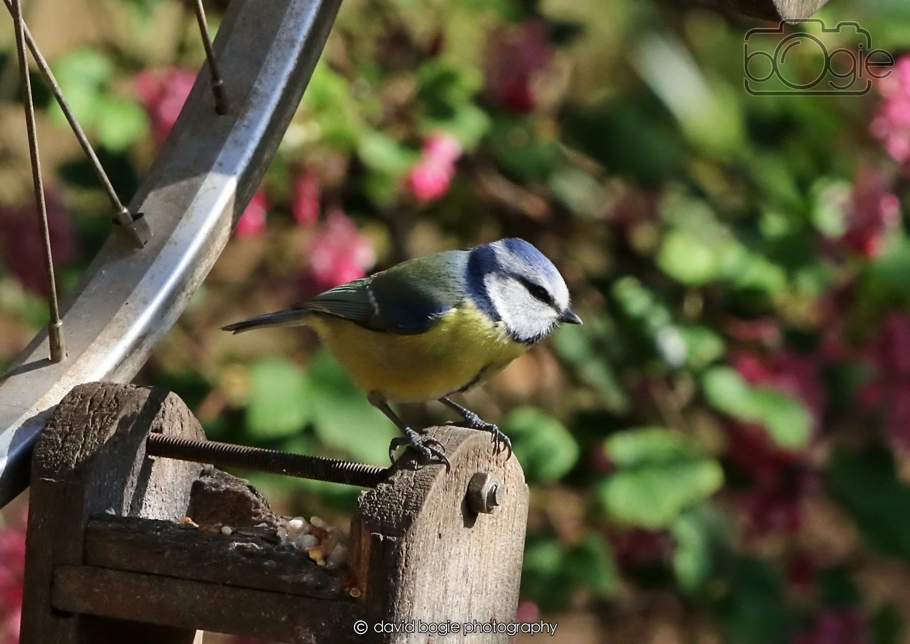 20260402 100812 Silverburn 0108.jpg