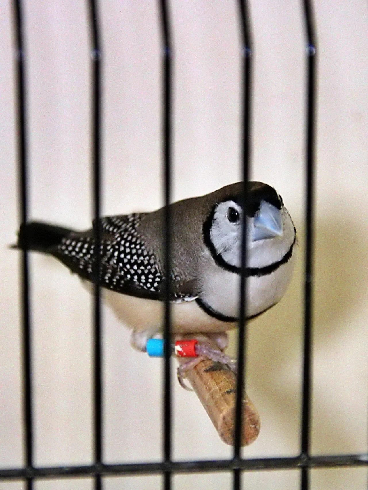 20241103 130144 MCBS Show 0429.JPG