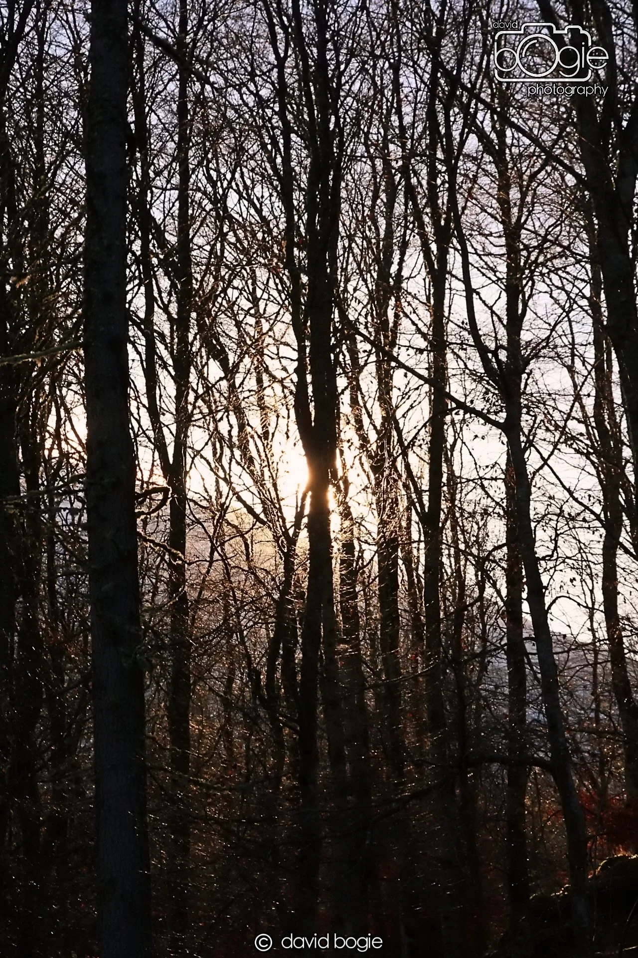 20221215 00084 Aberfeldy.JPG