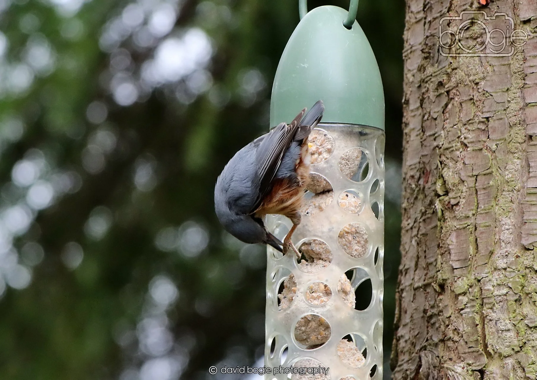 20260330 112421 Dunnikier 0113.jpg