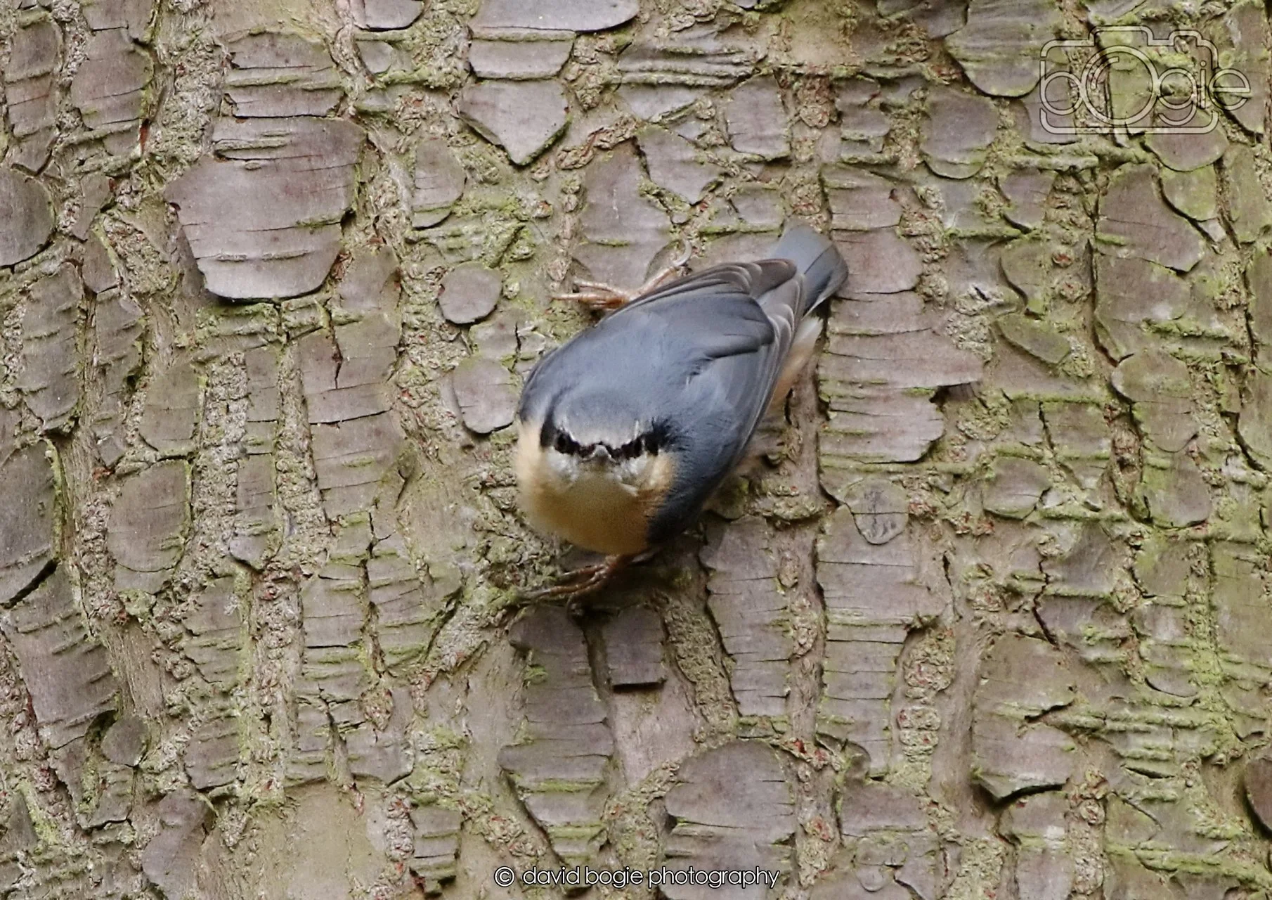 20260330 111439 Dunnikier 0067.jpg