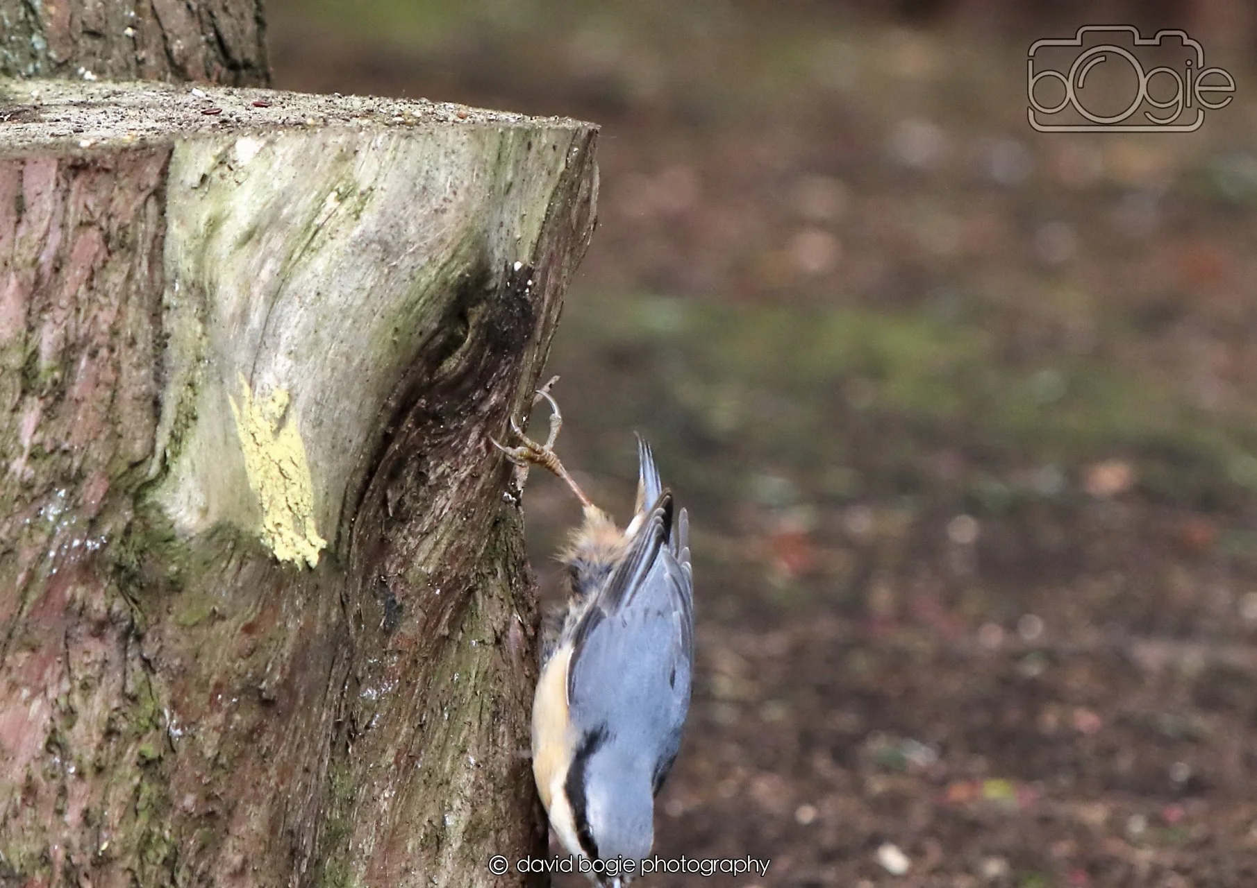 20260330 120145 Dunnikier 0355.jpg