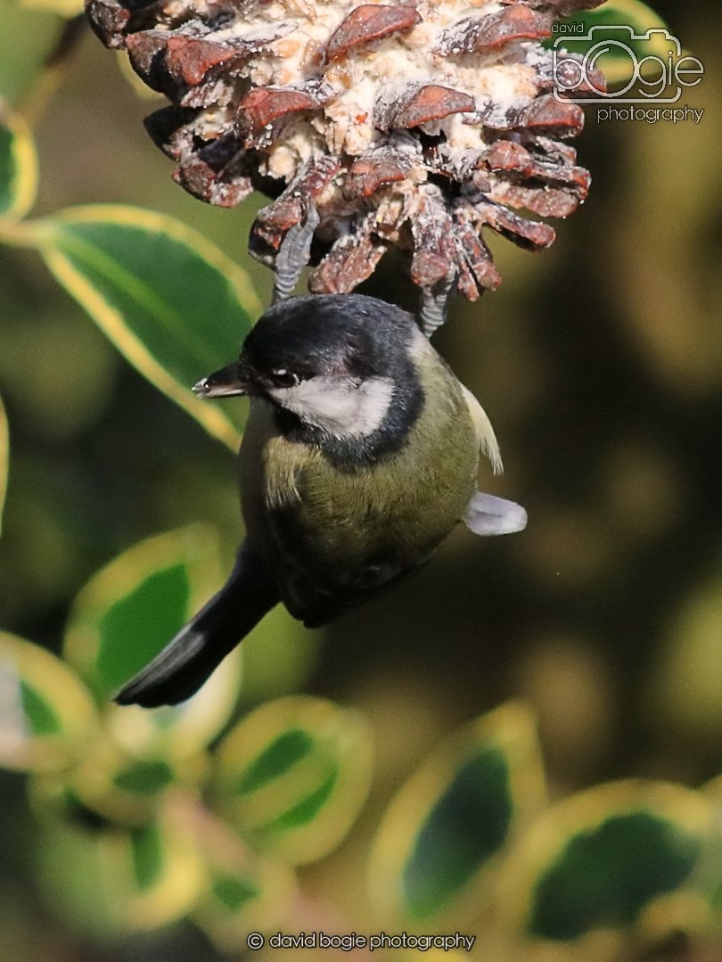 20251231 135222 Silverburn 0302.JPG