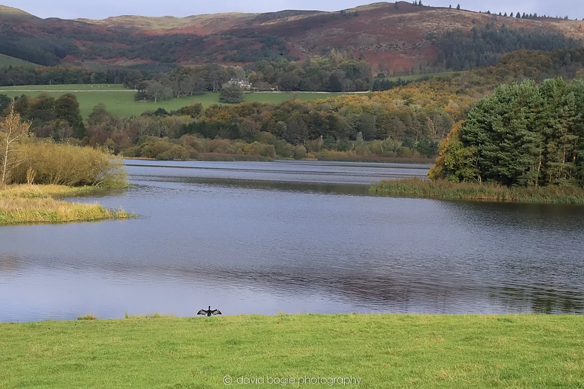 YEAR20231023 Lochore Meadows 115358 0288.jpg