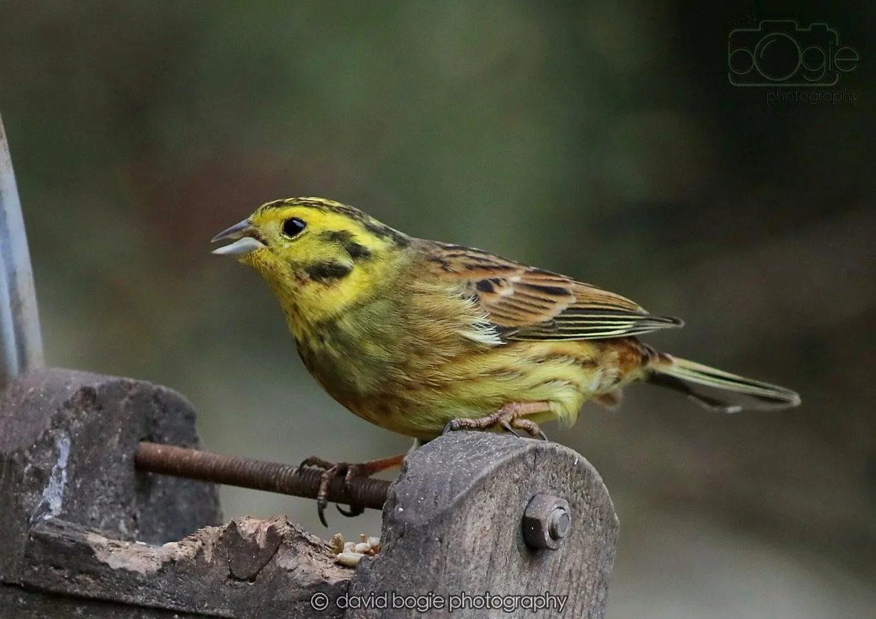 20260215 132437 Silverburn 0140.jpg