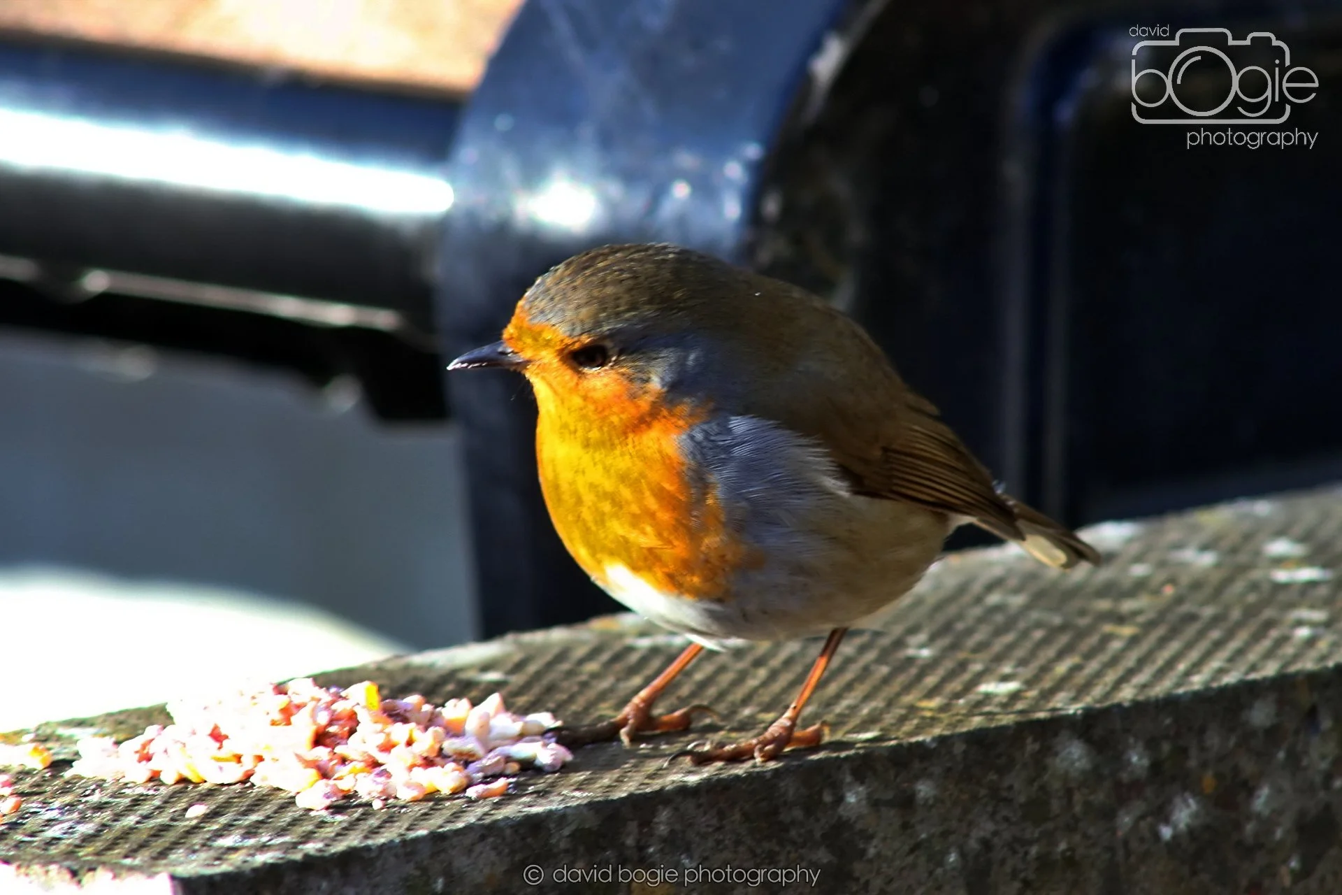 20251125 132509 Silverburn 0010.JPG