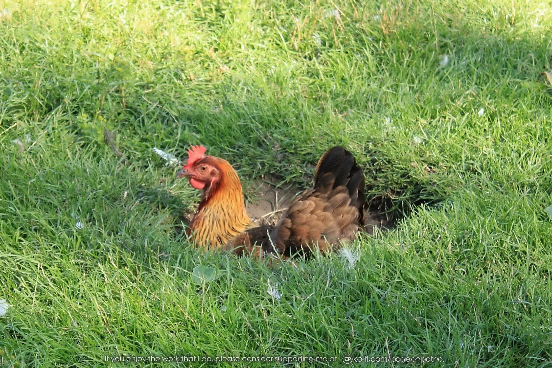 20190722 163558 Beamish .jpg