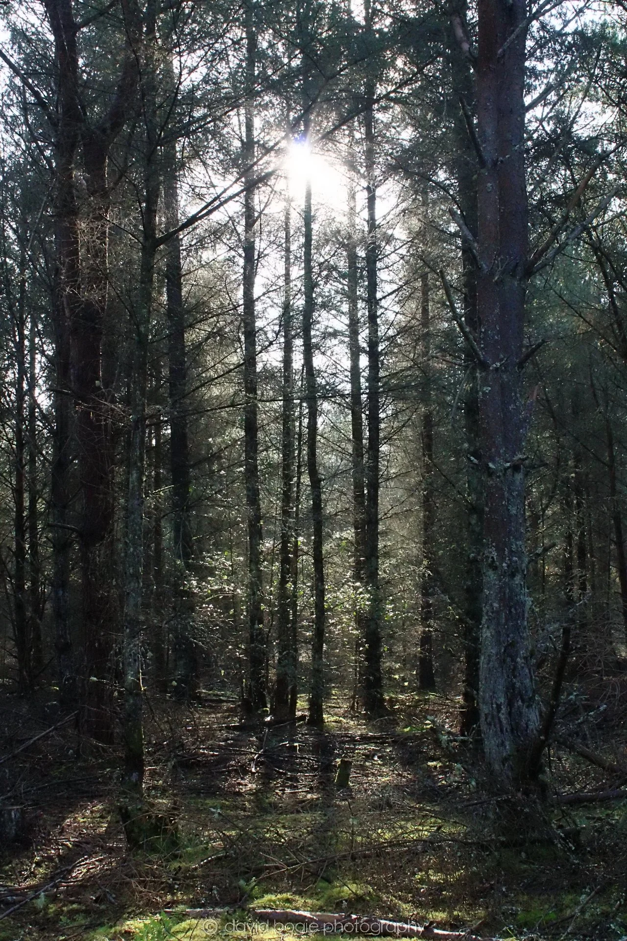 20191014 144705 Tentsmuir 0048.jpg