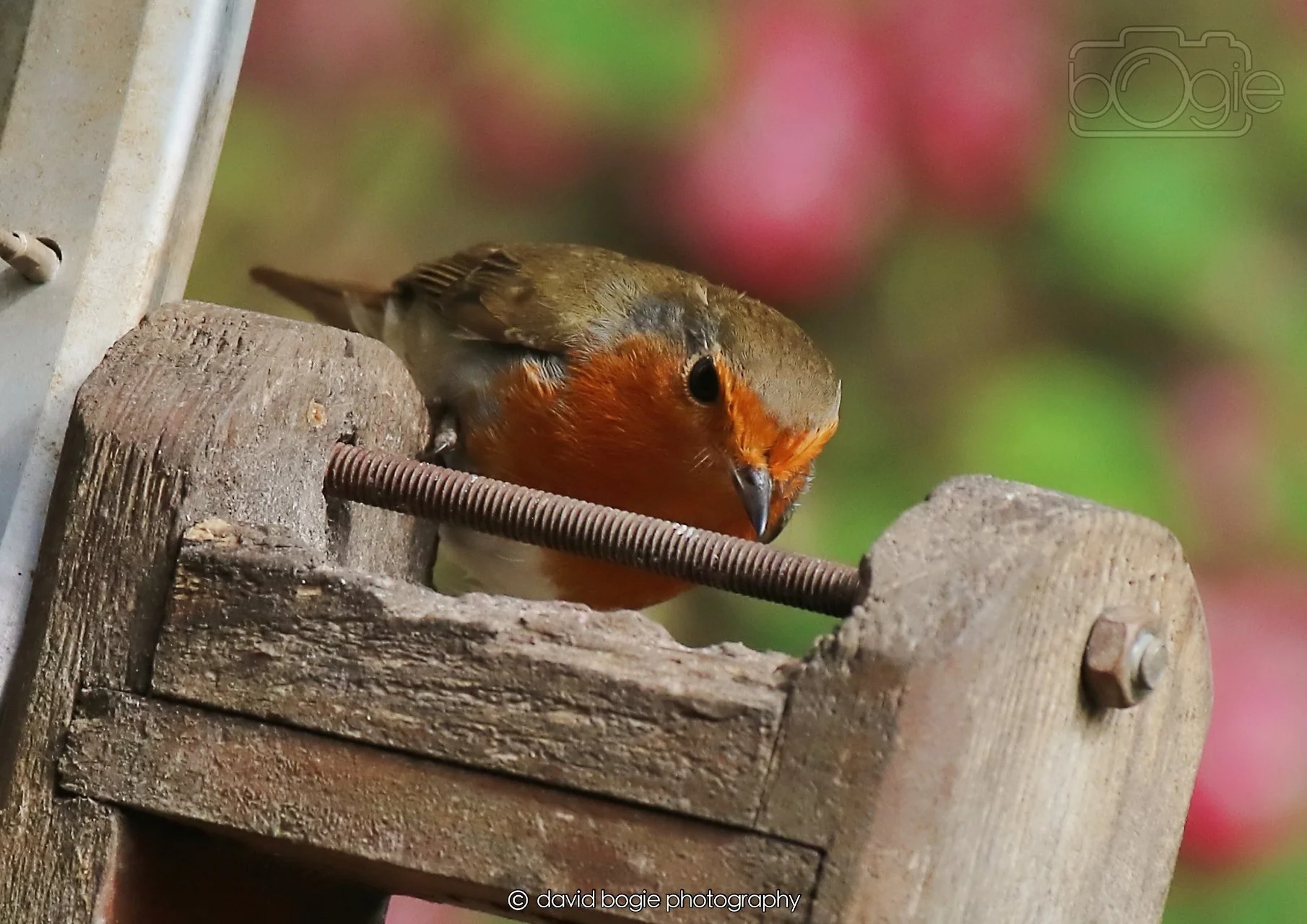 20260326 120942 Silverburn 0452.jpg