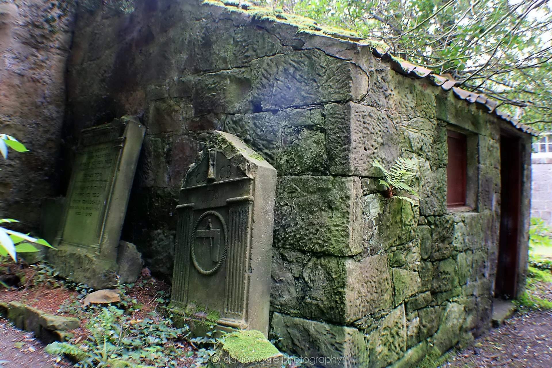 20190918 122912 Culross 0016.jpg