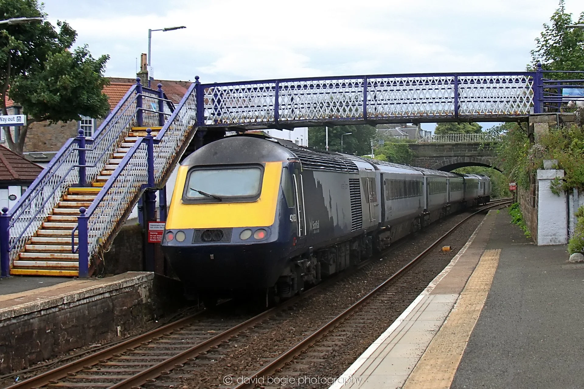 YEAR20230814 Kinghorn 135900 0226.jpg