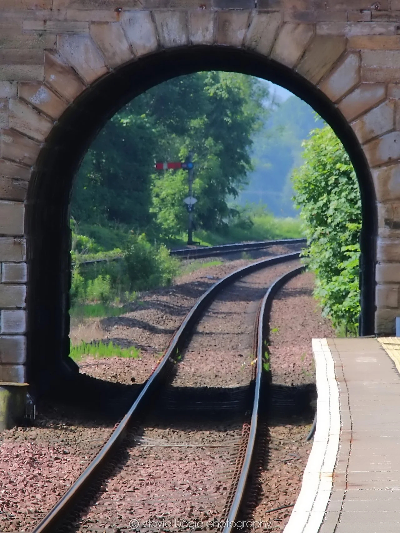 YEAR20240531 102447 Cupar 0116.jpg