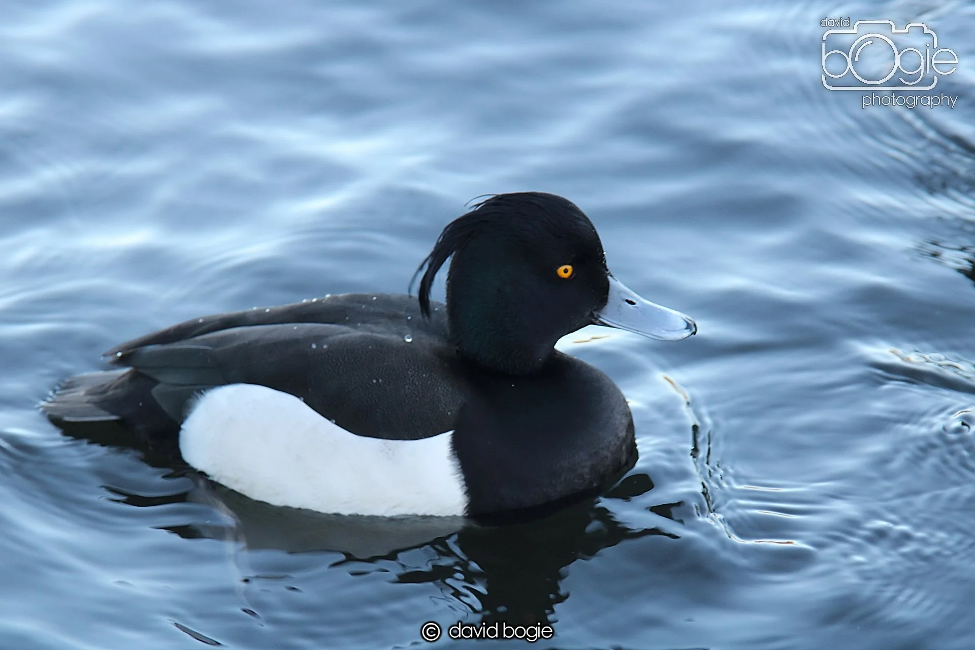 20240115 Beveridge Park 115836 011 .jpg