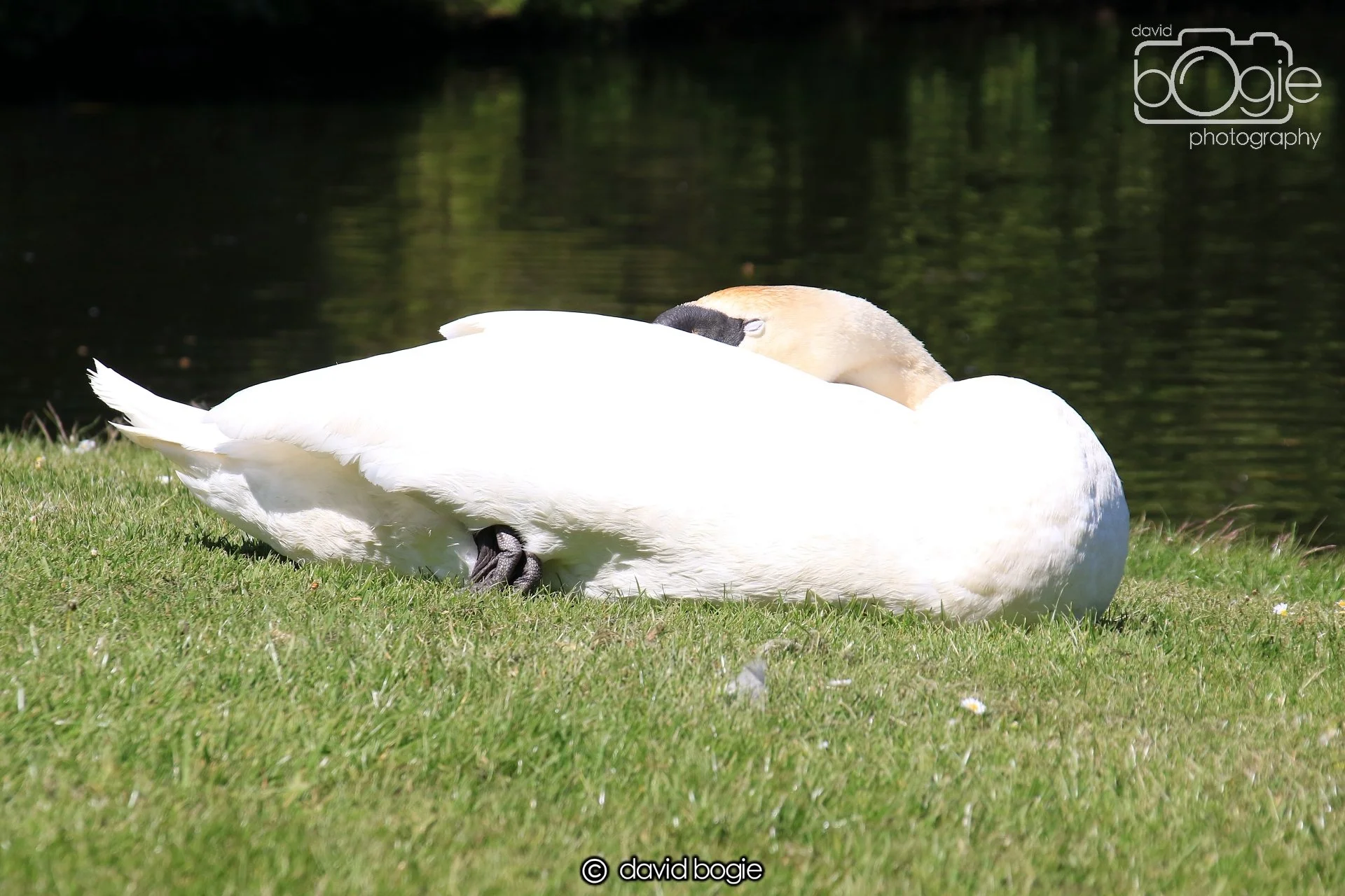 20250517 133616 Beveridge Park 0643.JPG