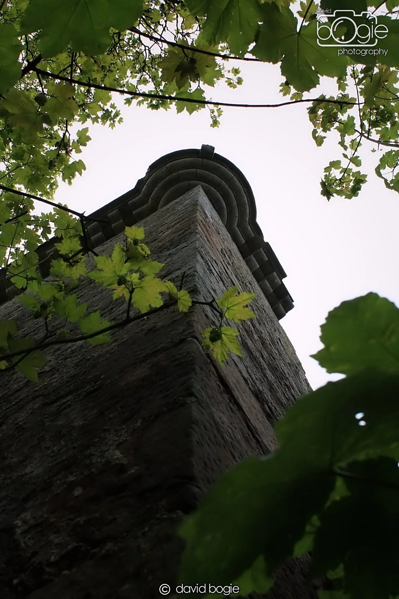 20190505 221723 Dunmore 0008  .jpg