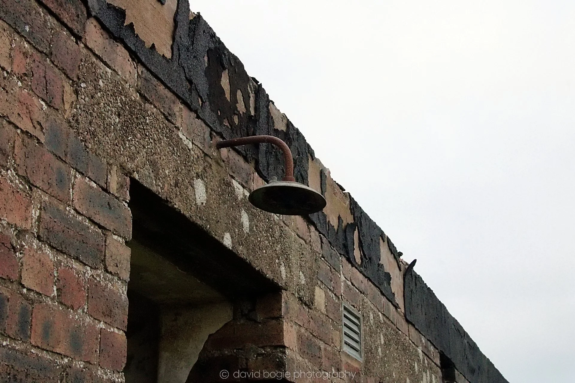 20210629 124419 Fife 0017.jpg