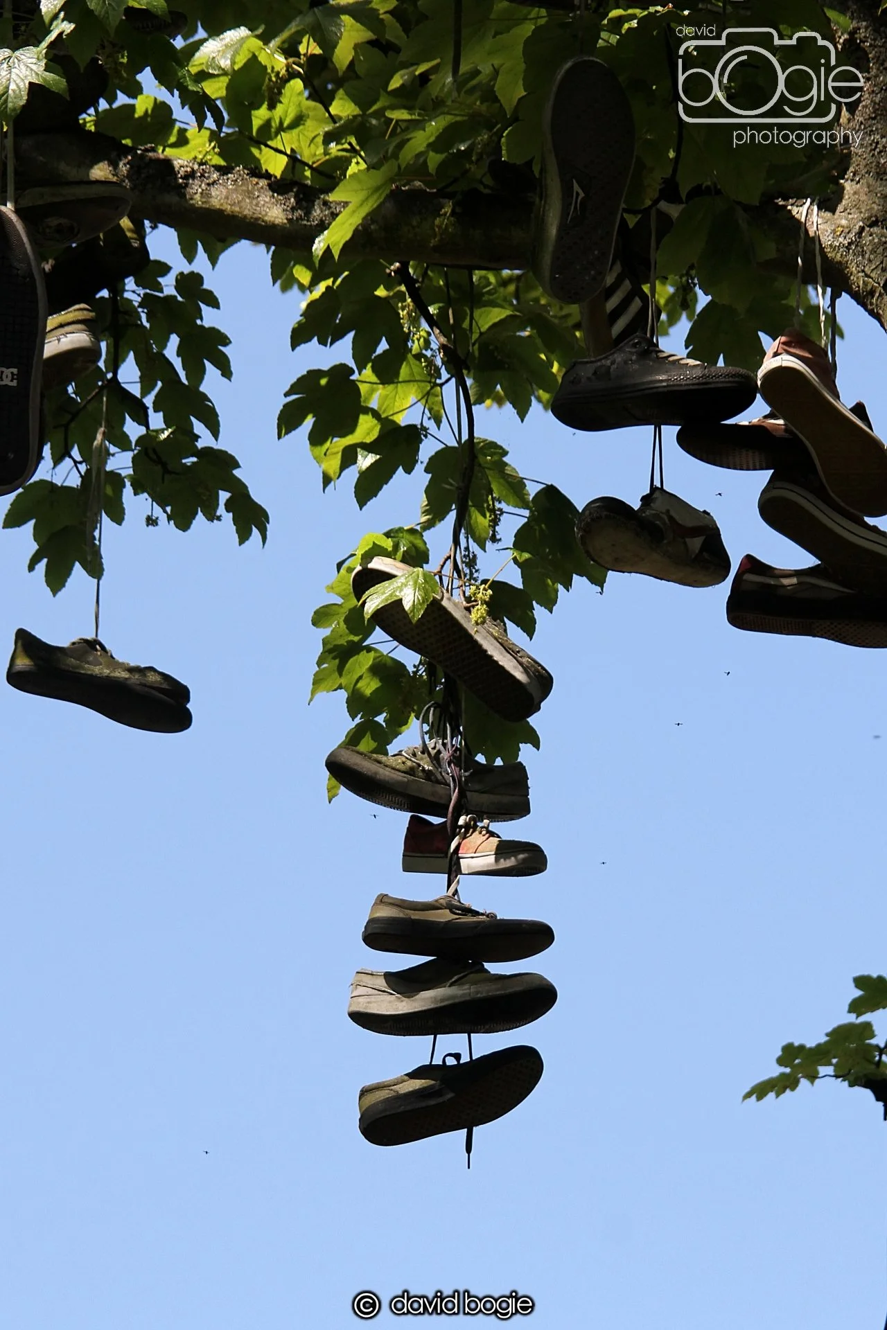 20230530 Beveridge Park IMG0561.jpg